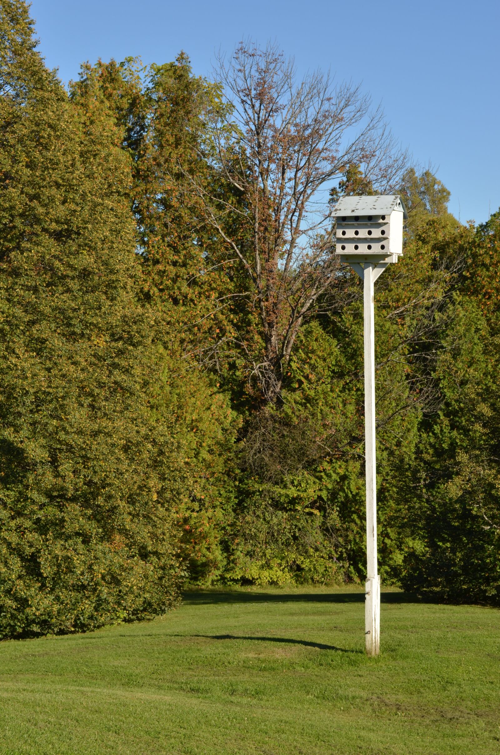 Nikon D5100 sample photo. Bird house, nest box photography