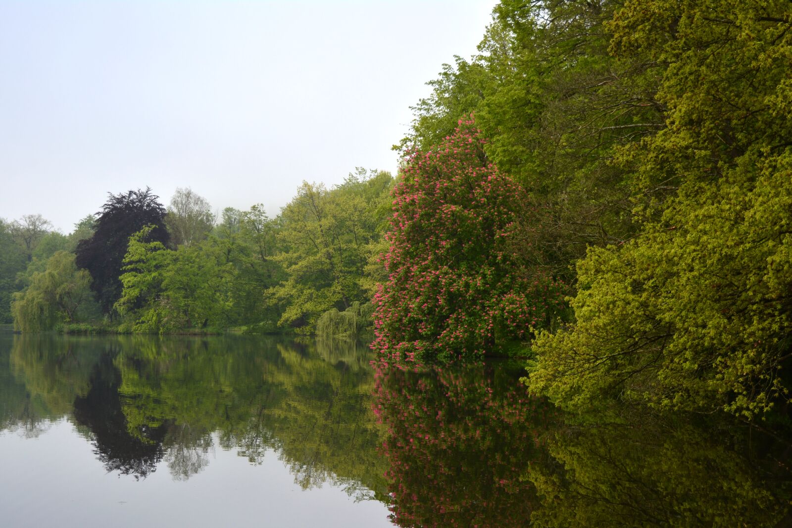 Nikon D5200 sample photo. Lake, park, landscape photography