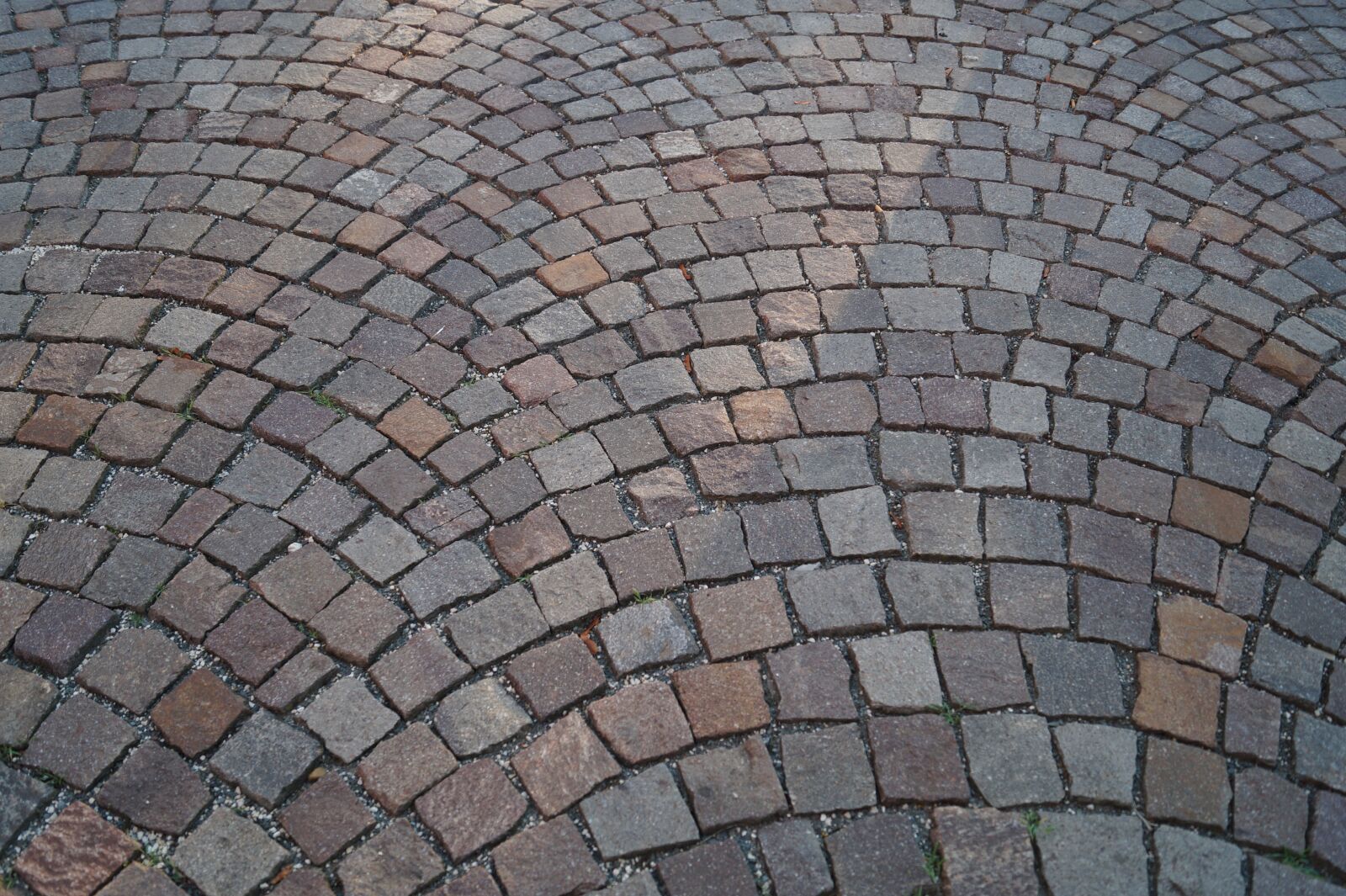 Sony DT 18-55mm F3.5-5.6 SAM II sample photo. Backgrounds, background, structure photography