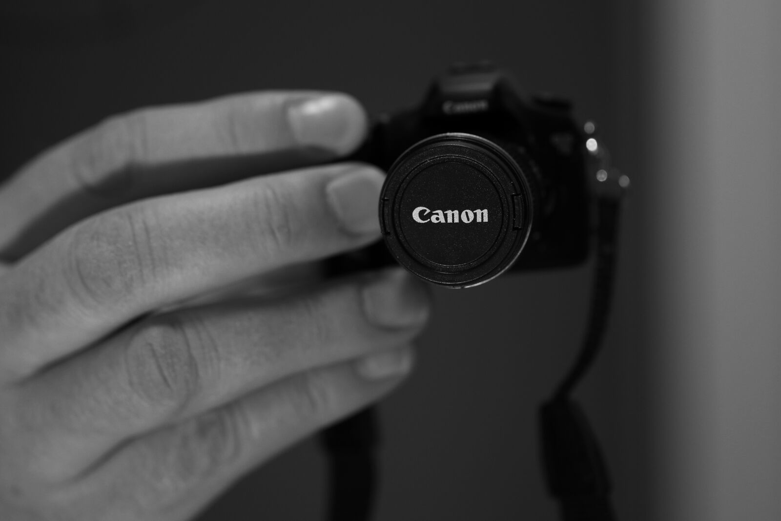 Canon EOS 7D Mark II sample photo. Camera, miniature, photo photography