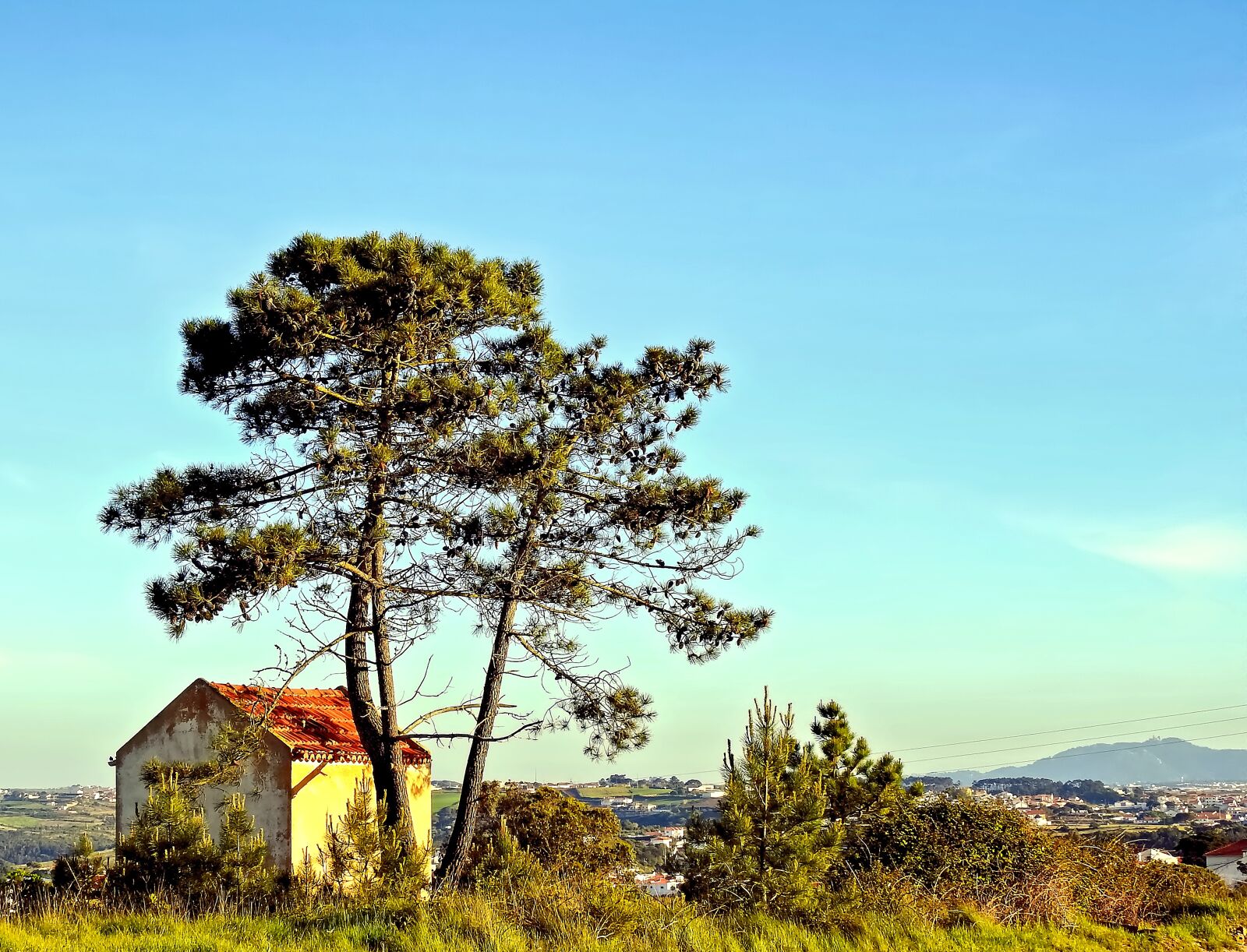 Nikon Coolpix P900 sample photo. Landscape, house, home photography