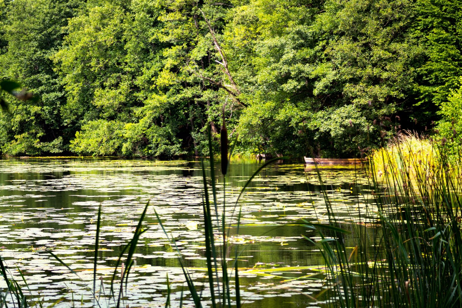 Canon EOS 60D sample photo. Landscape, lake, view photography