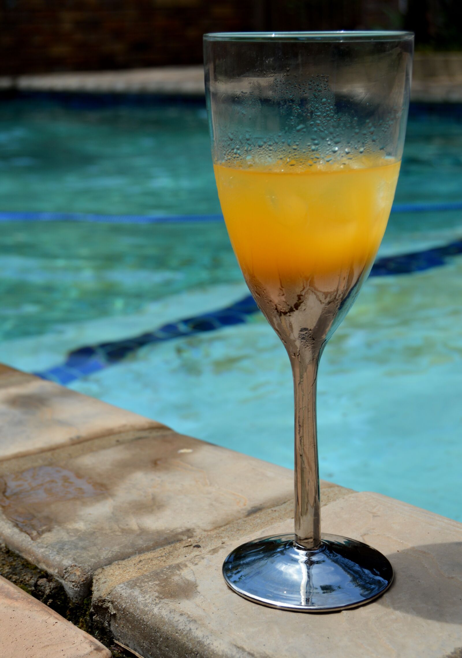 Nikon D3200 sample photo. Drink, glass, refreshment photography