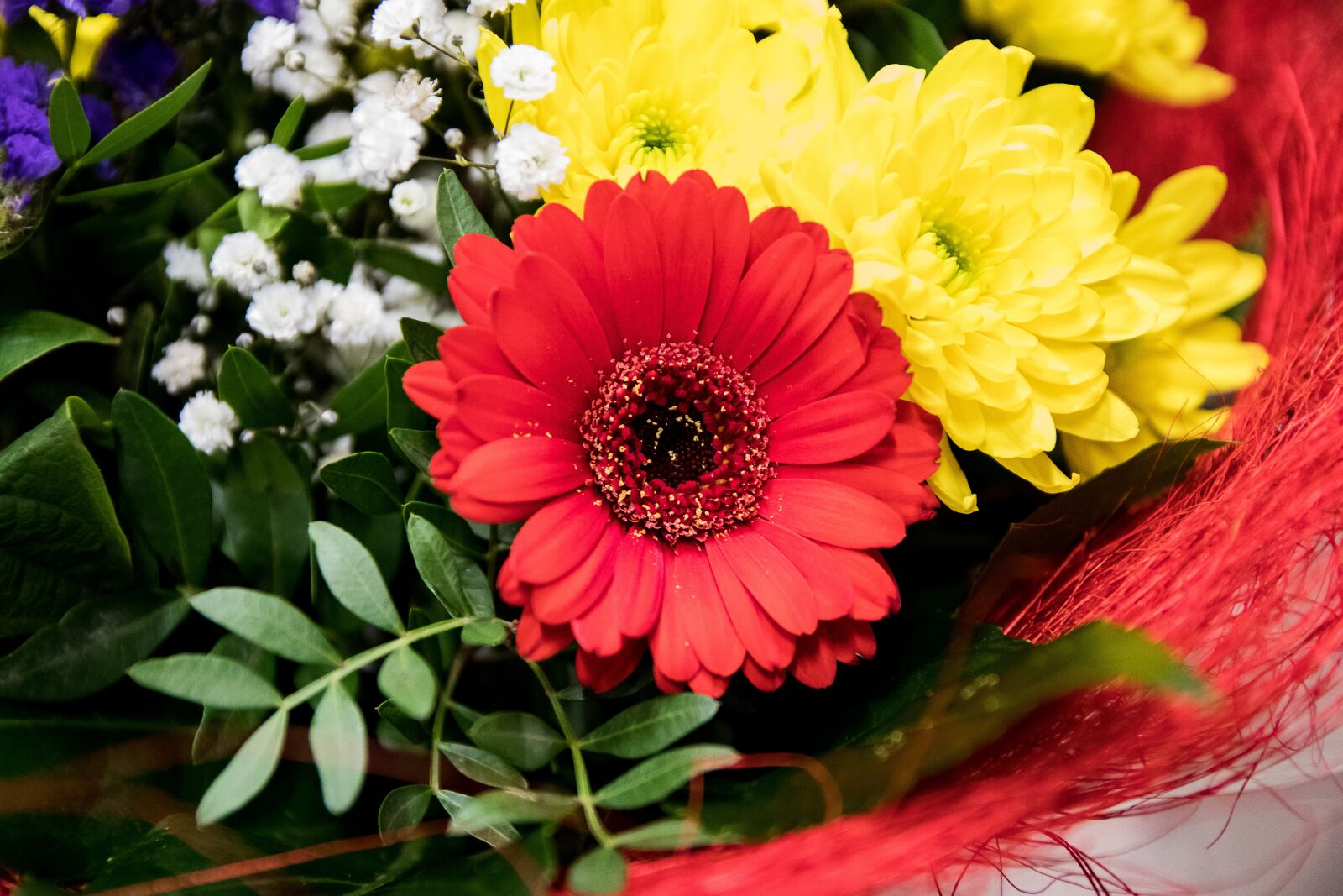 Canon EOS 80D sample photo. Gerbera, flowers, bouquet photography