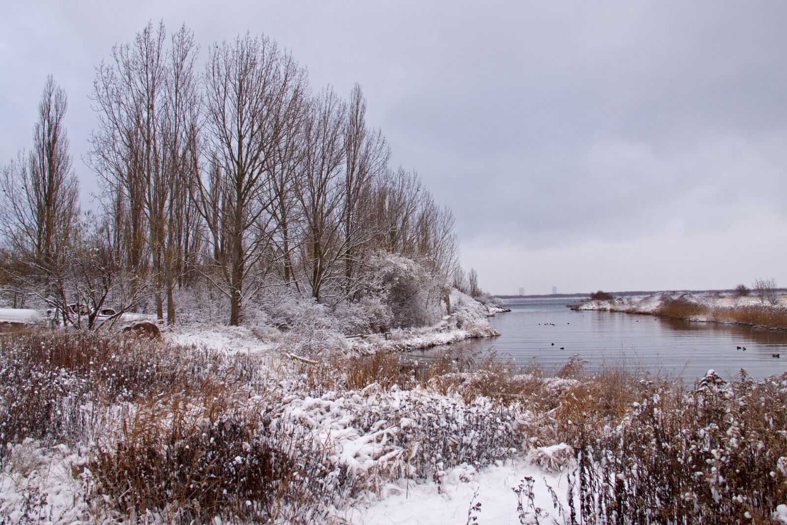 Canon EOS 50D sample photo. Winter landscape, winter, snow photography