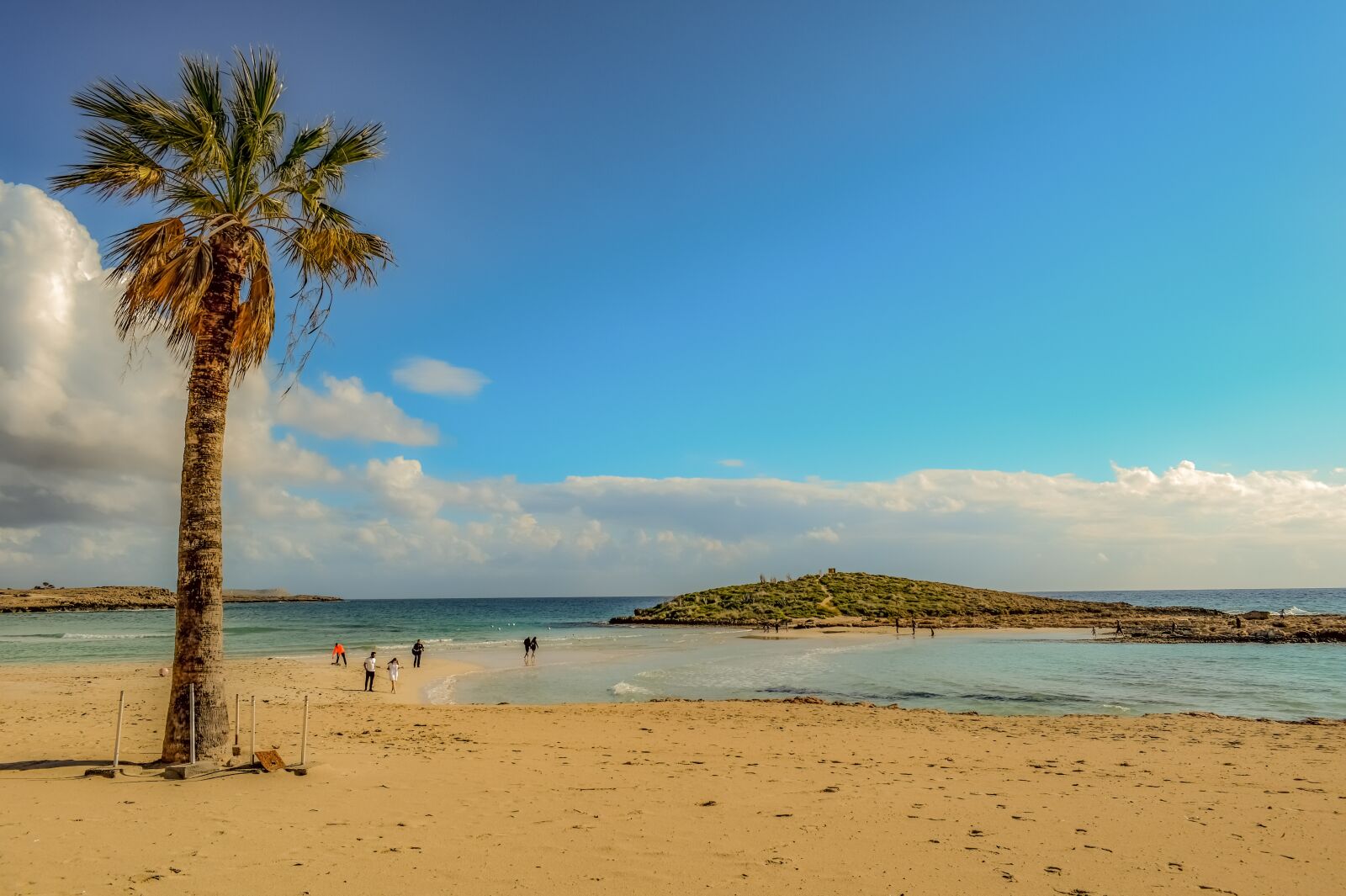 Nikon D3300 sample photo. Beach, palm tree, sea photography