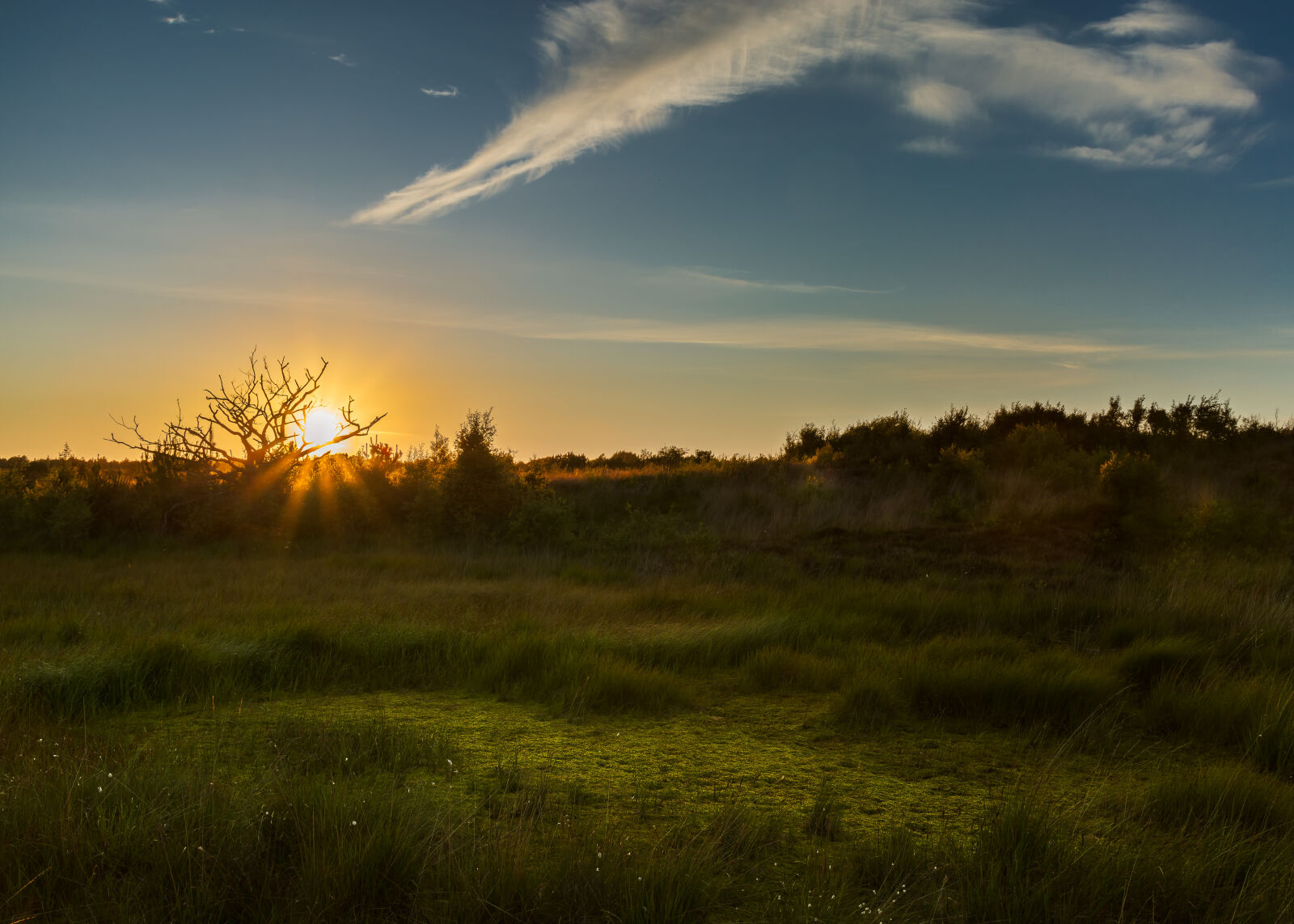 Canon EF 28-105mm f/3.5-4.5 USM sample photo. Evening, sky, silhuet, sunset photography