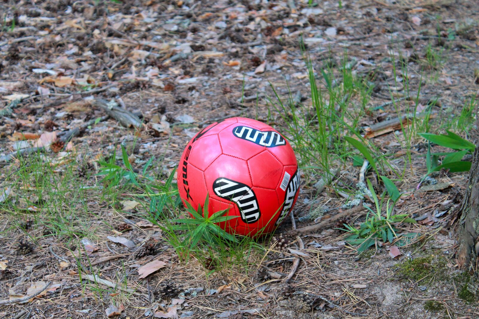 Canon EOS 1100D (EOS Rebel T3 / EOS Kiss X50) sample photo. Ball, toys, football photography