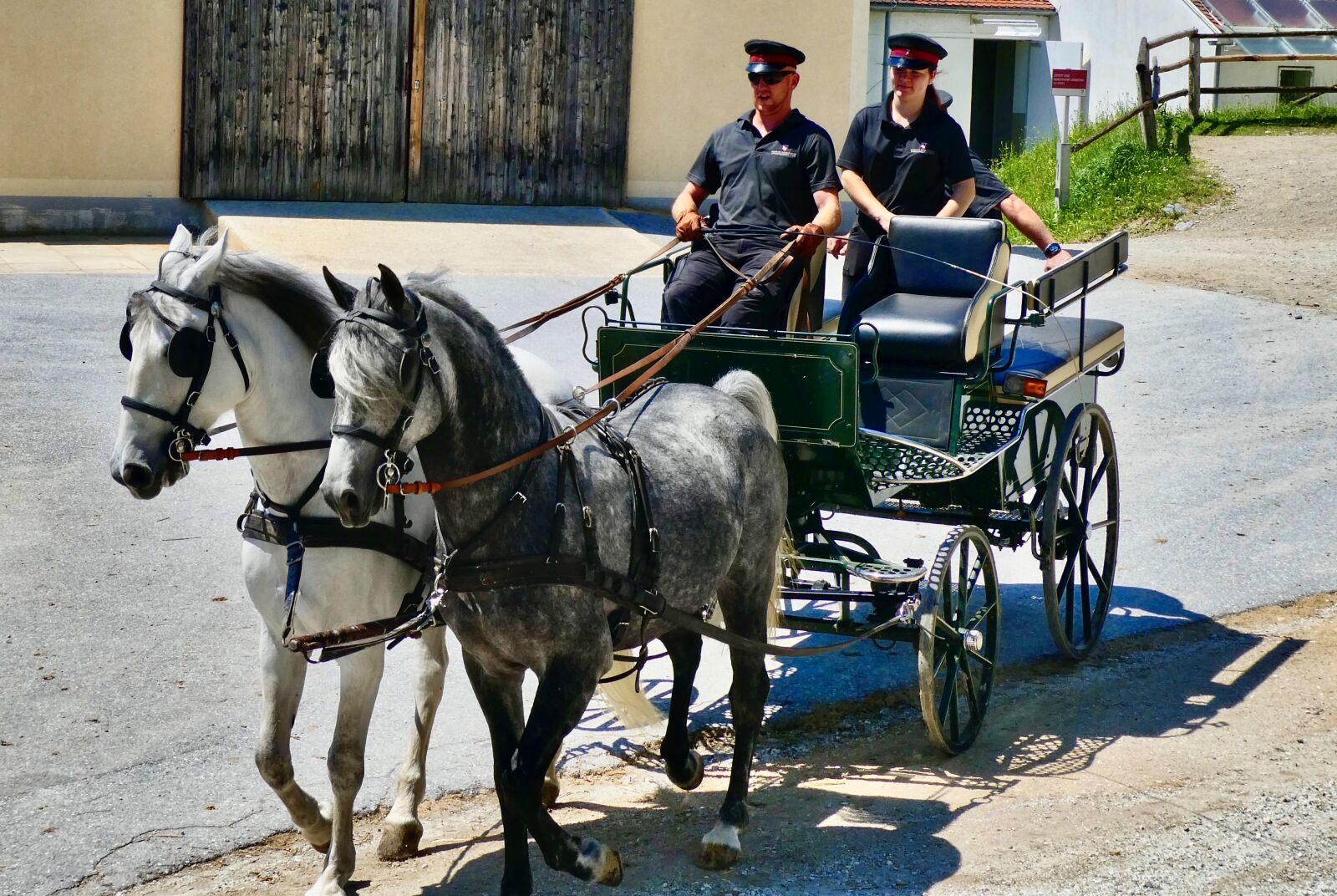 Panasonic Lumix DC-ZS70 (Lumix DC-TZ90) sample photo. Carriage, cart, wagon photography