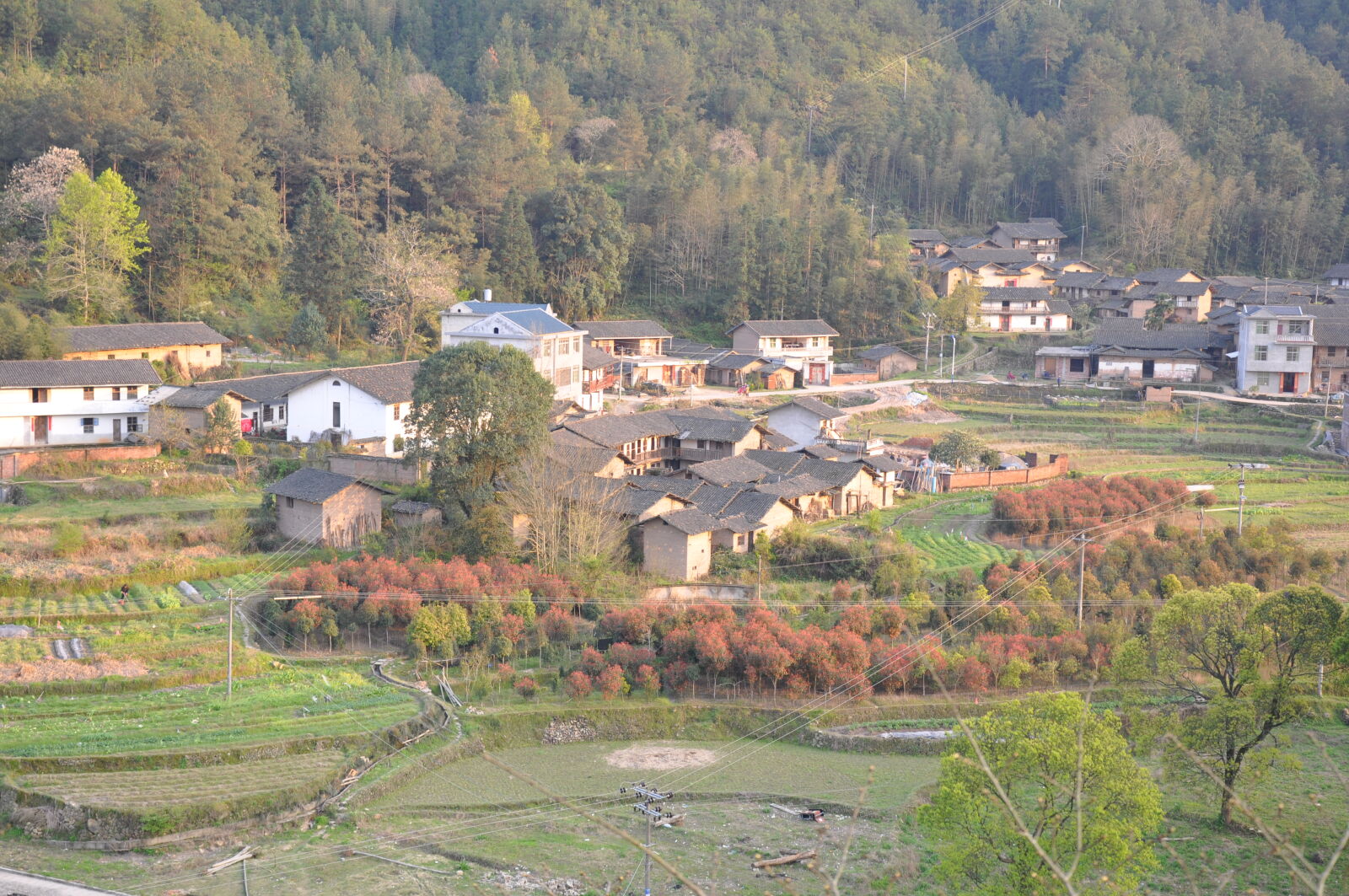 Nikon D90 sample photo