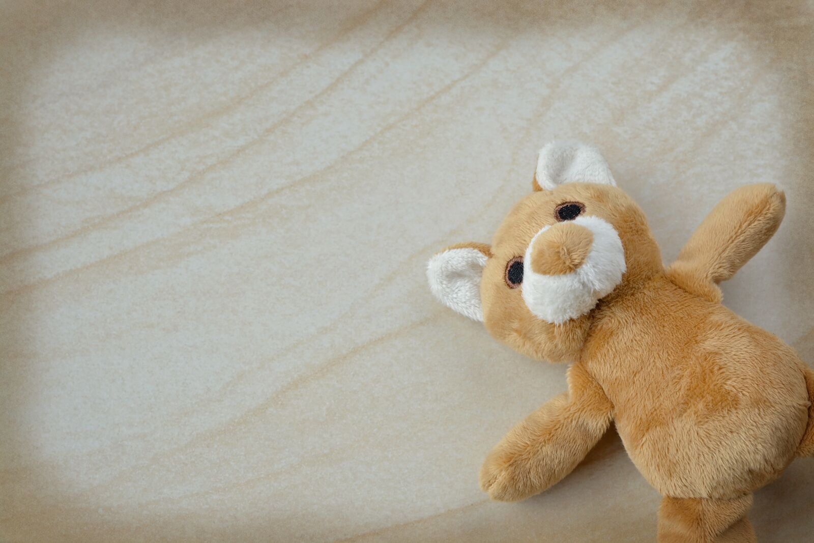 Nikon D7100 sample photo. Teddy, teddy bear, small photography