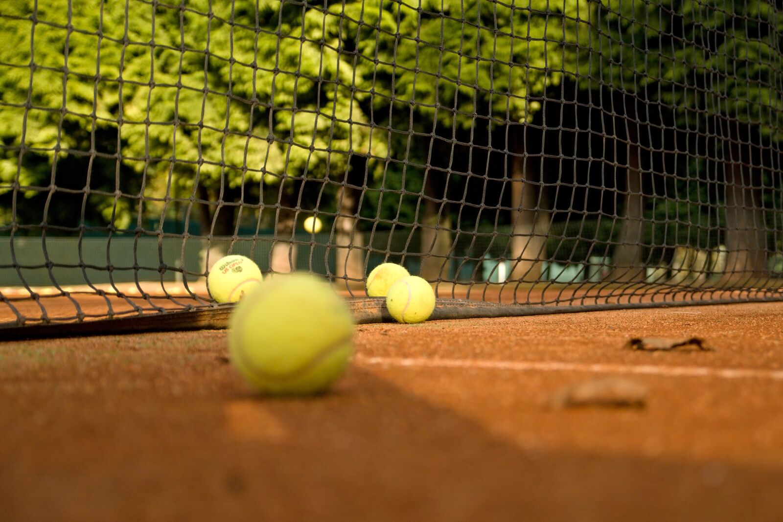 Sony ILCA-77M2 sample photo. Tennis, clay, network photography