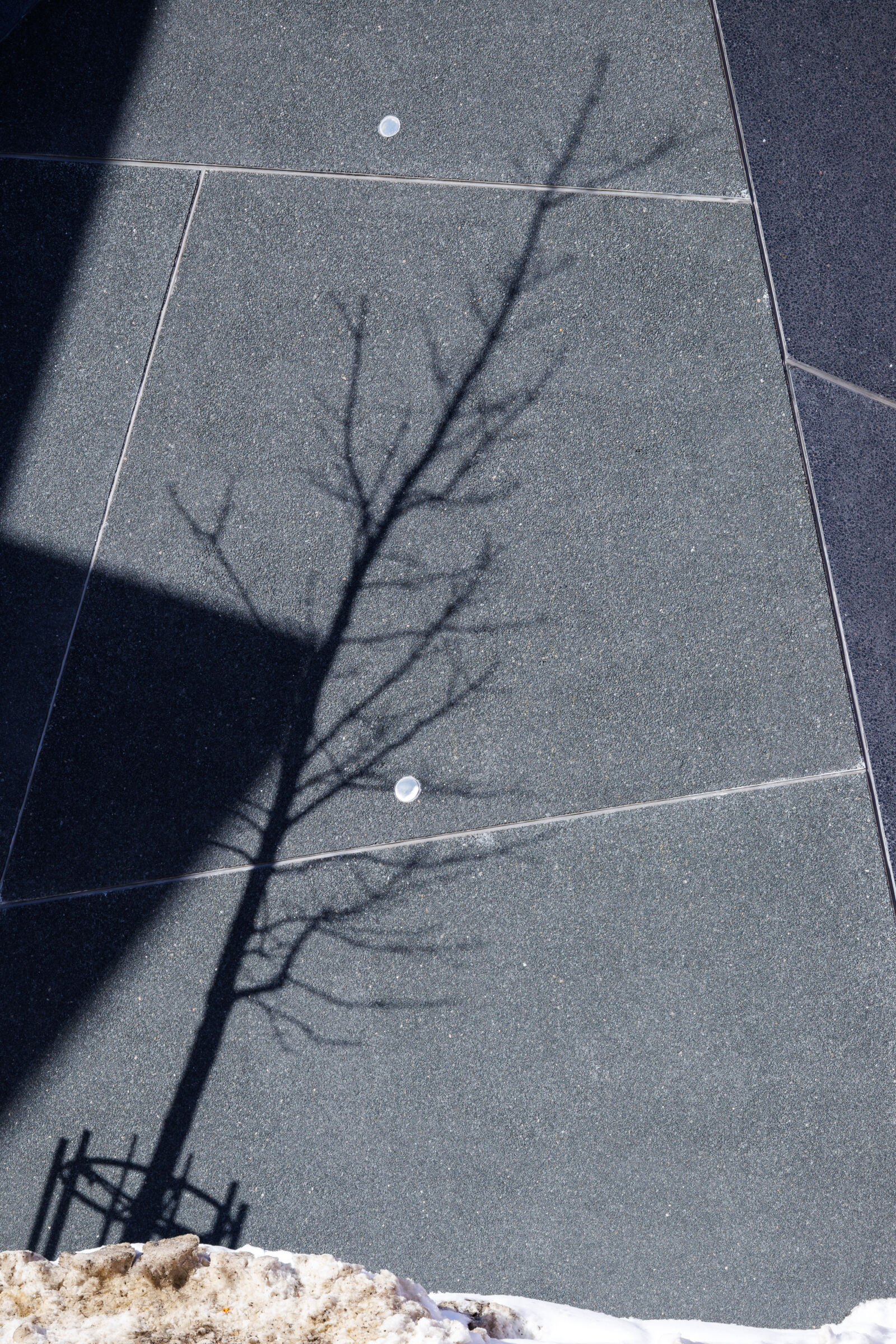 Canon RF-S 55-210mm F5.0-7.1 IS STM sample photo. Tree shadow photography