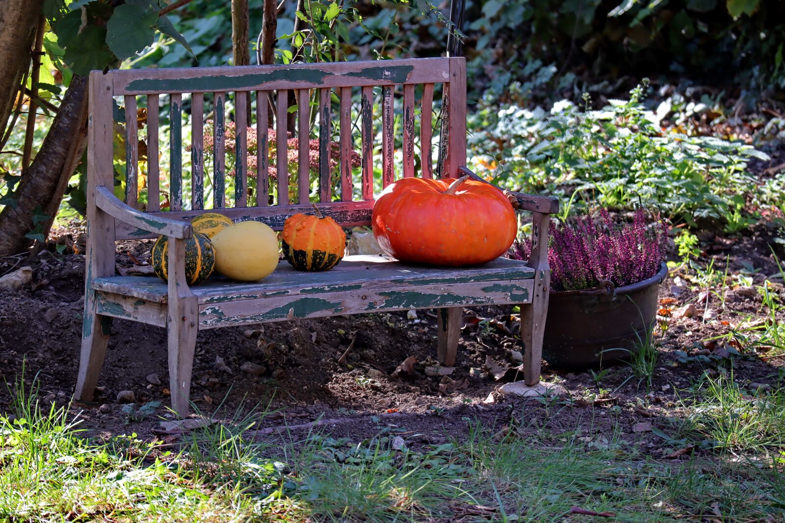 Canon EOS M50 (EOS Kiss M) sample photo. Garden bench, autumn, pumpkin photography