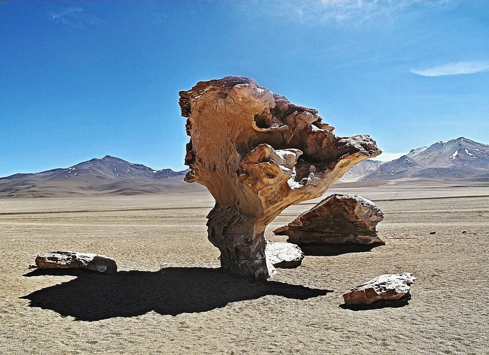 Canon PowerShot G10 sample photo. Bolivia, tree, pierre photography