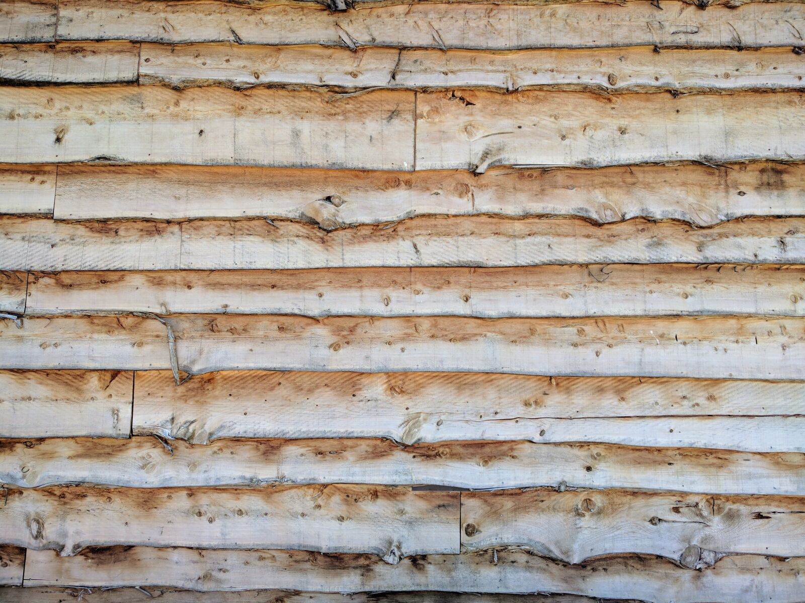 Google Nexus 6P sample photo. Background, texture, wood photography