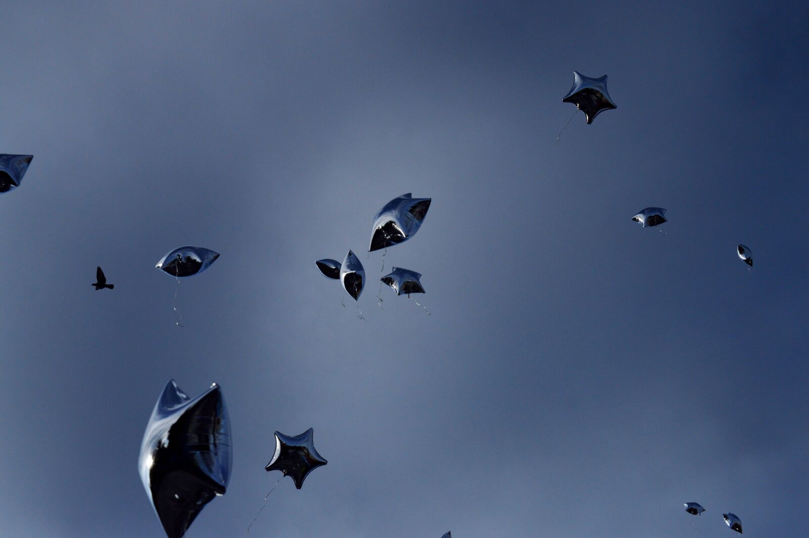 Nikon D3200 sample photo. Sky, outdoors, flight photography