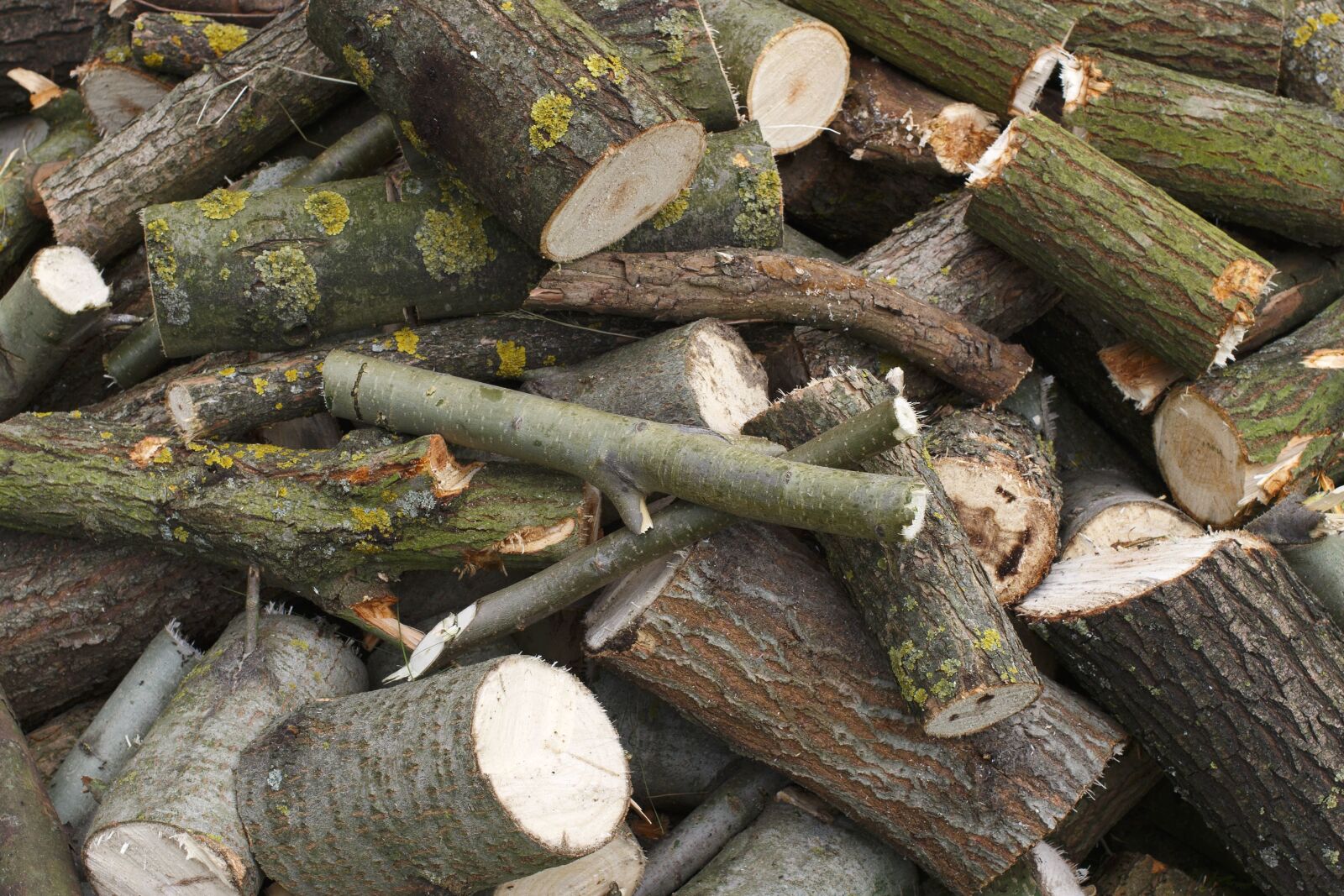Canon EOS 100D (EOS Rebel SL1 / EOS Kiss X7) sample photo. Wood, firewood, texture photography