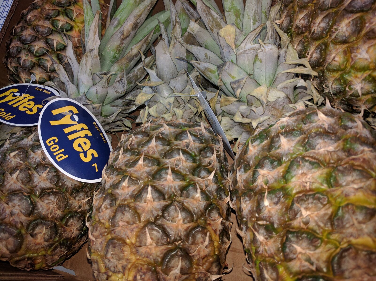 LG Nexus 5X sample photo. Pineapple, fruit, sweet photography