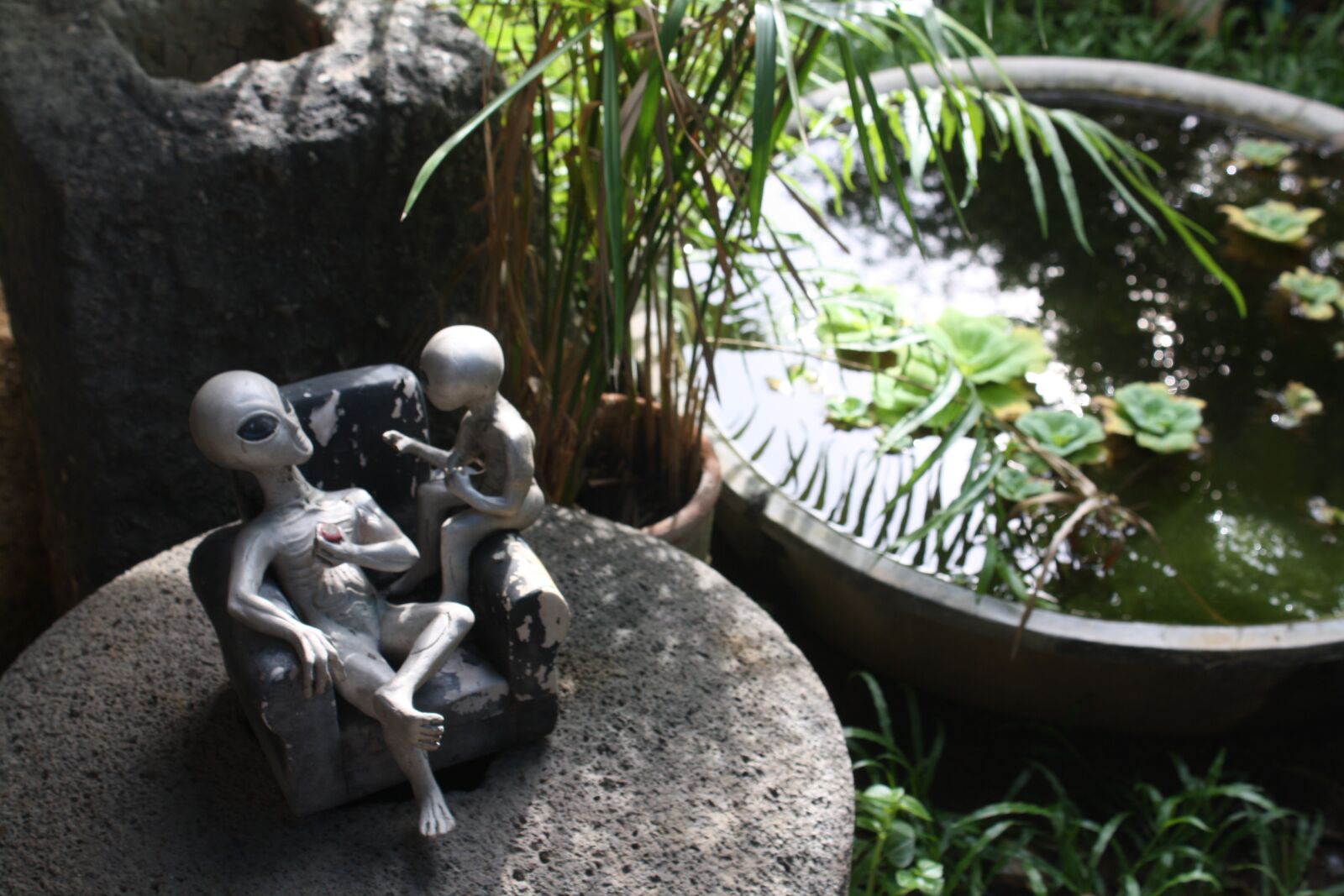 Canon EOS 1000D (EOS Digital Rebel XS / EOS Kiss F) sample photo. Aliens, at rest, beside photography
