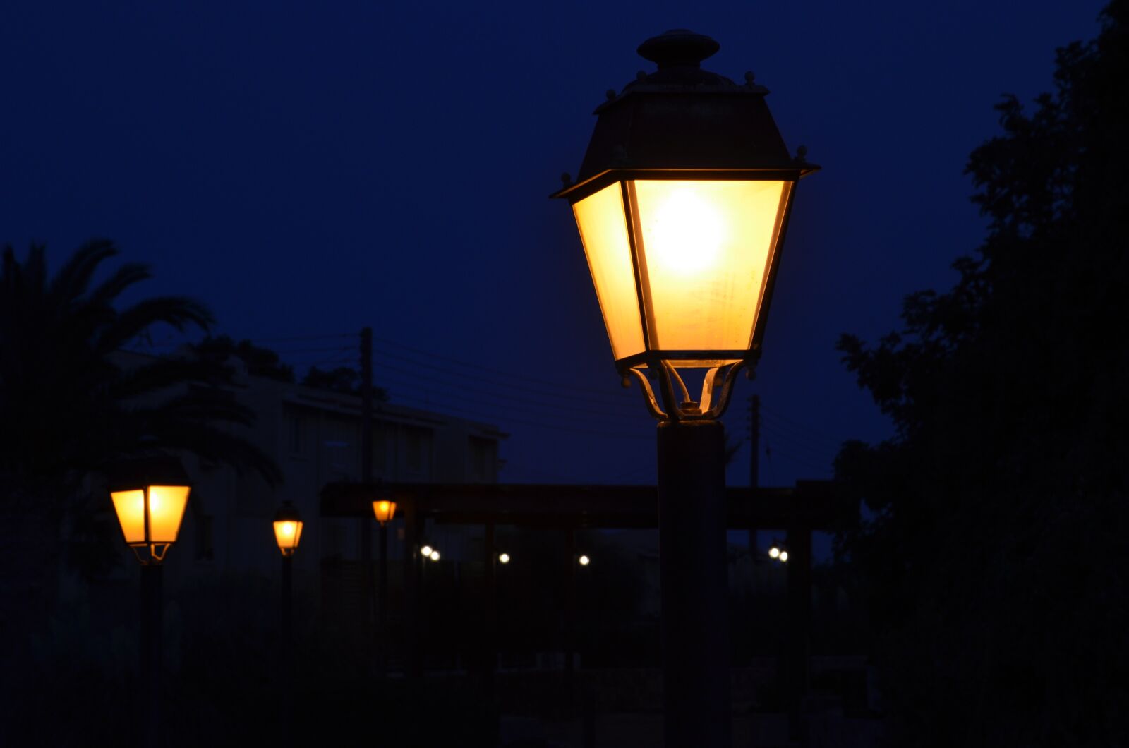 Nikon D5100 sample photo. Lantern, night, dark photography