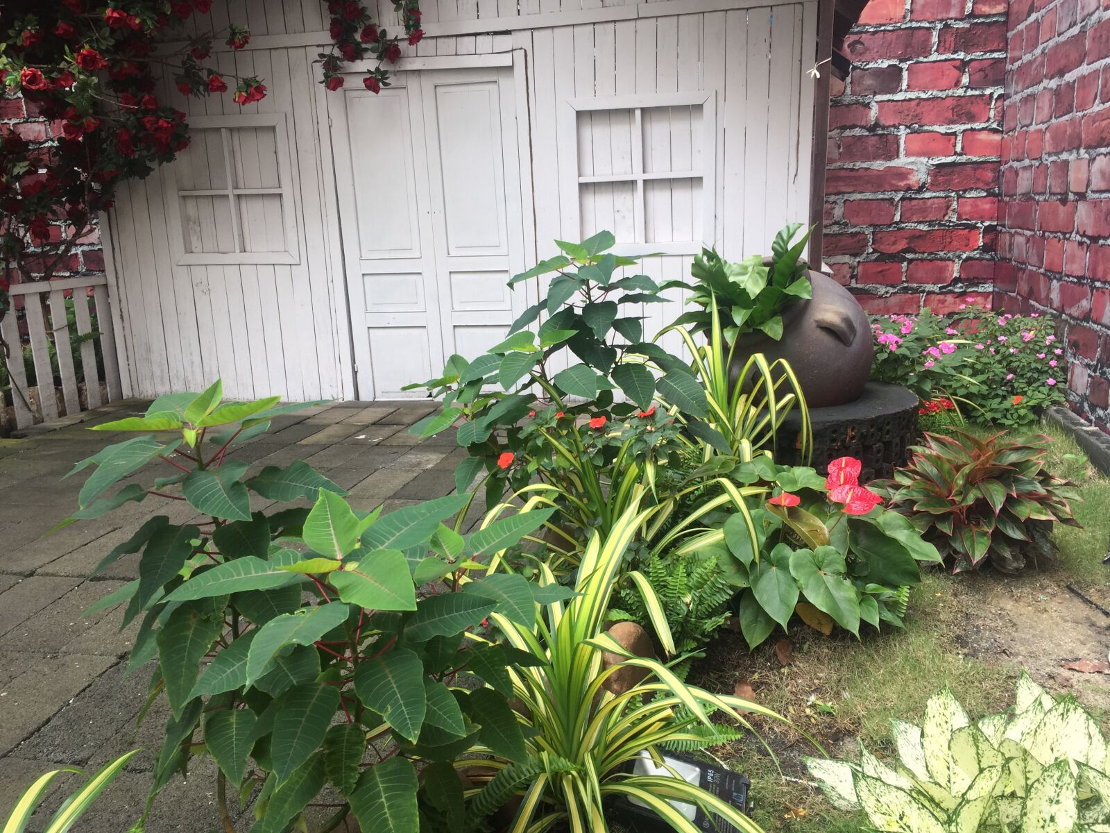iPhone 6 back camera 4.15mm f/2.2 sample photo. Bonsai, hoa, phong, c photography