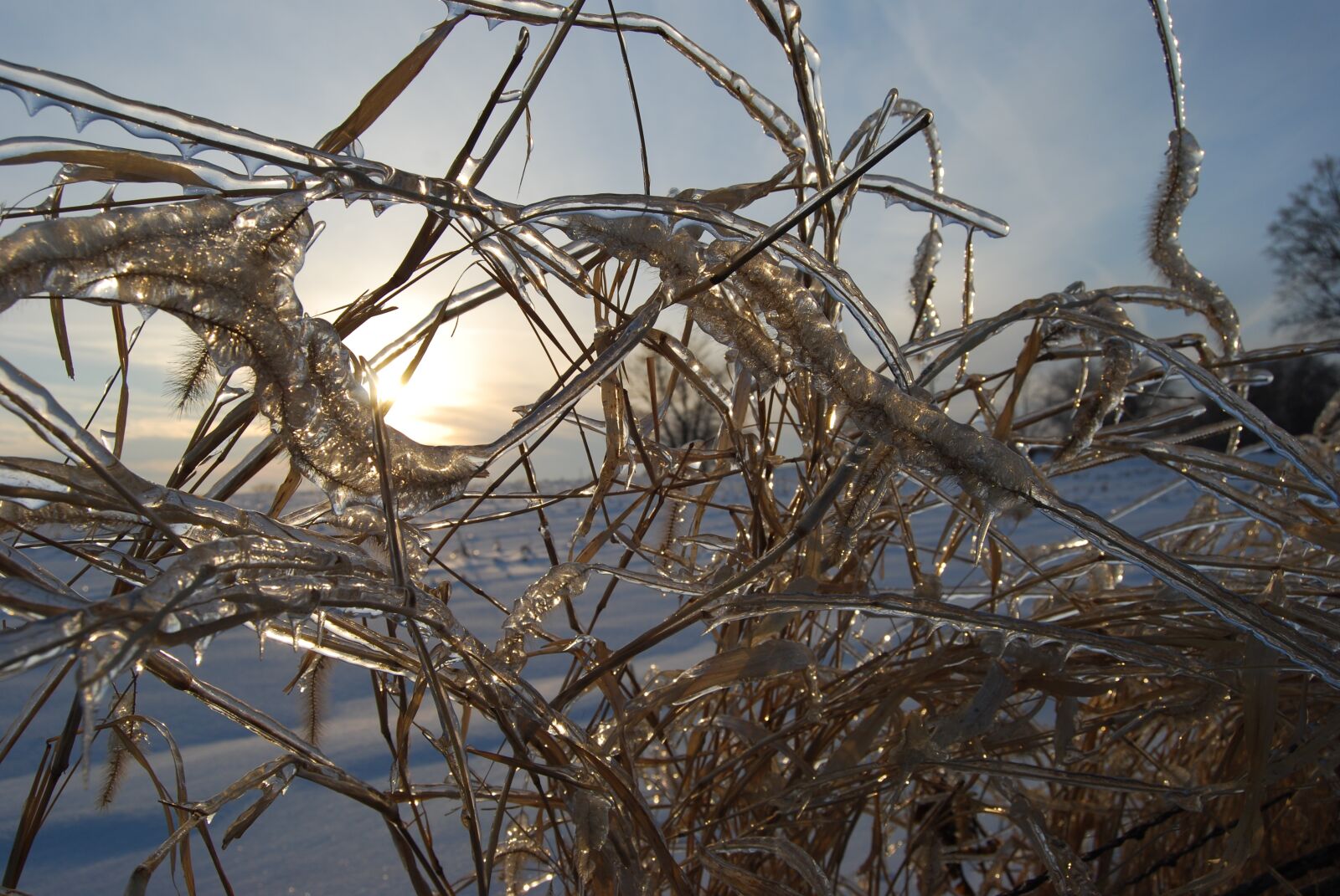 Nikon D40X sample photo. Sunset, winter, crystals photography
