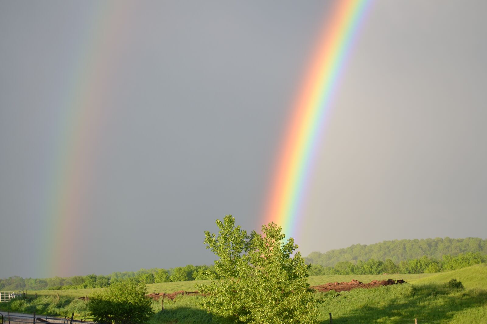 Nikon D3100 sample photo. Rainbow, field, farm photography