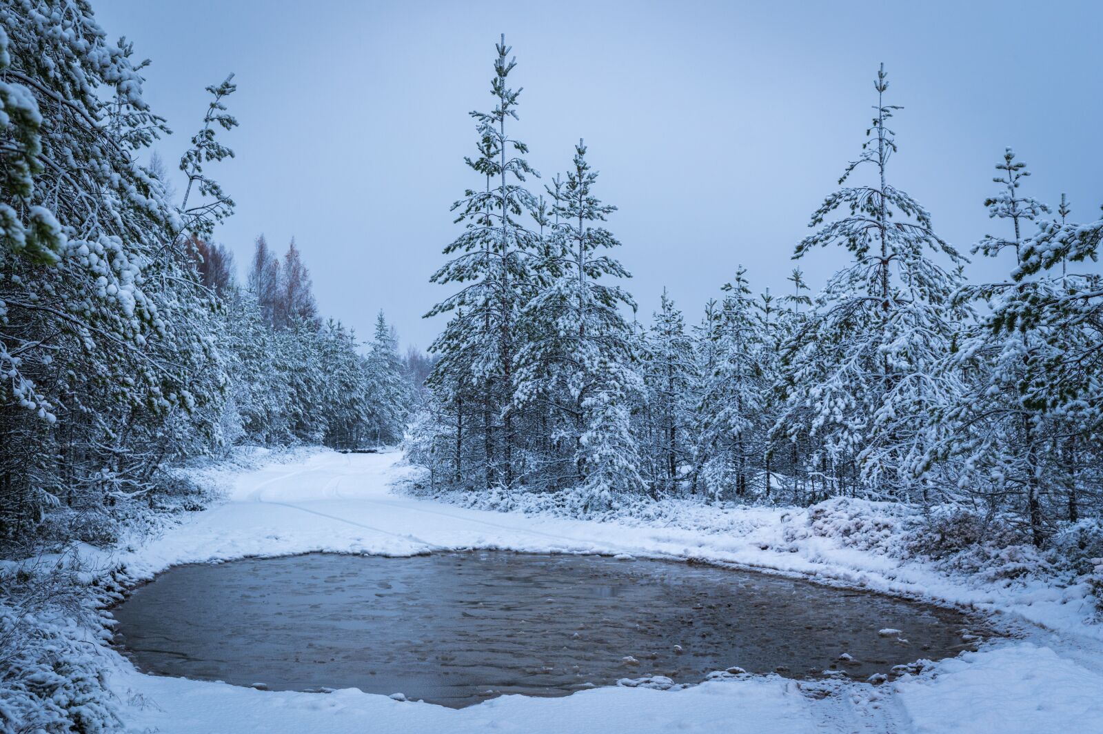 Canon EF 24-70mm F2.8L II USM sample photo. Winter, snow, landscape photography