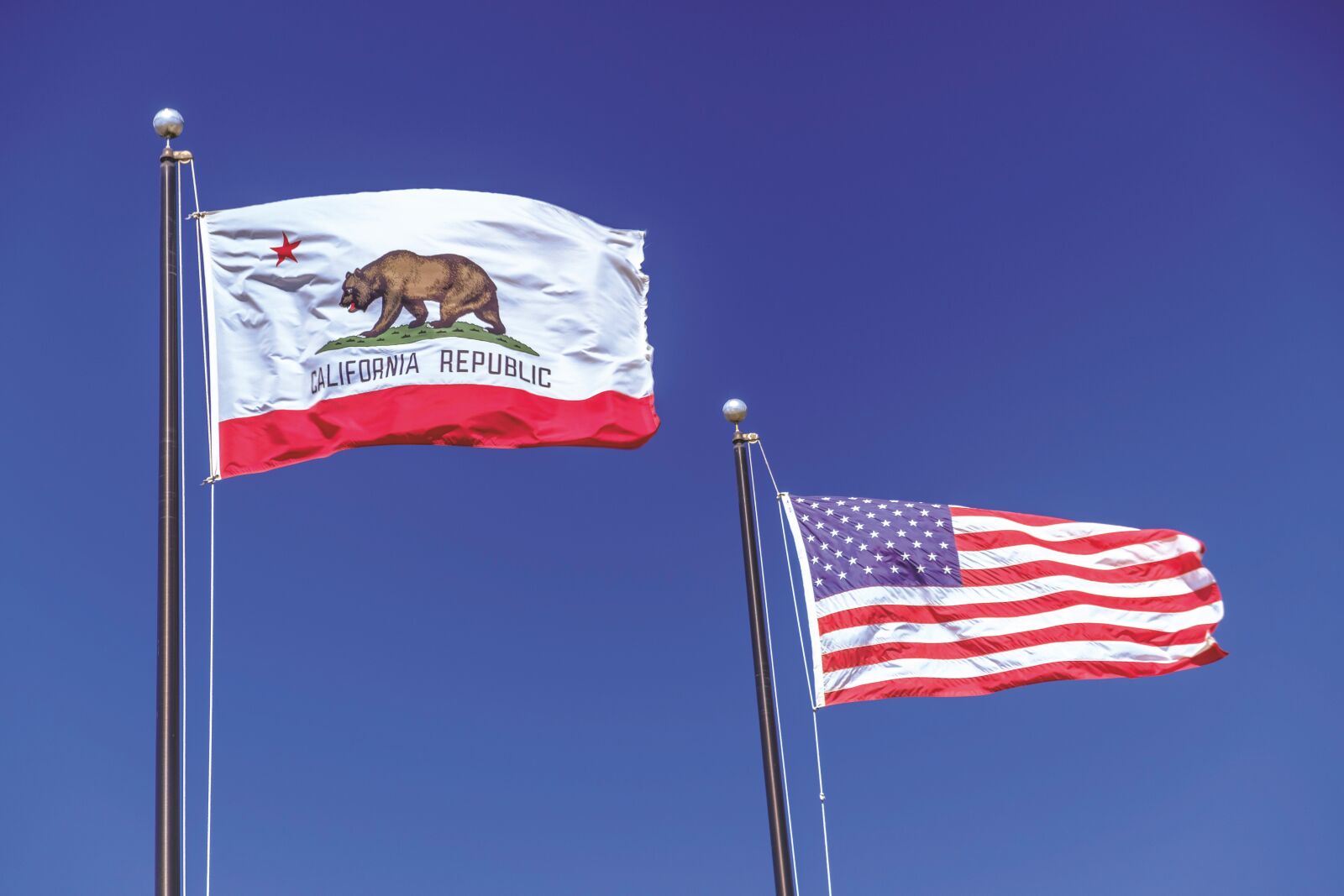 Fujifilm X-T2 sample photo. Flag, california, republic of photography