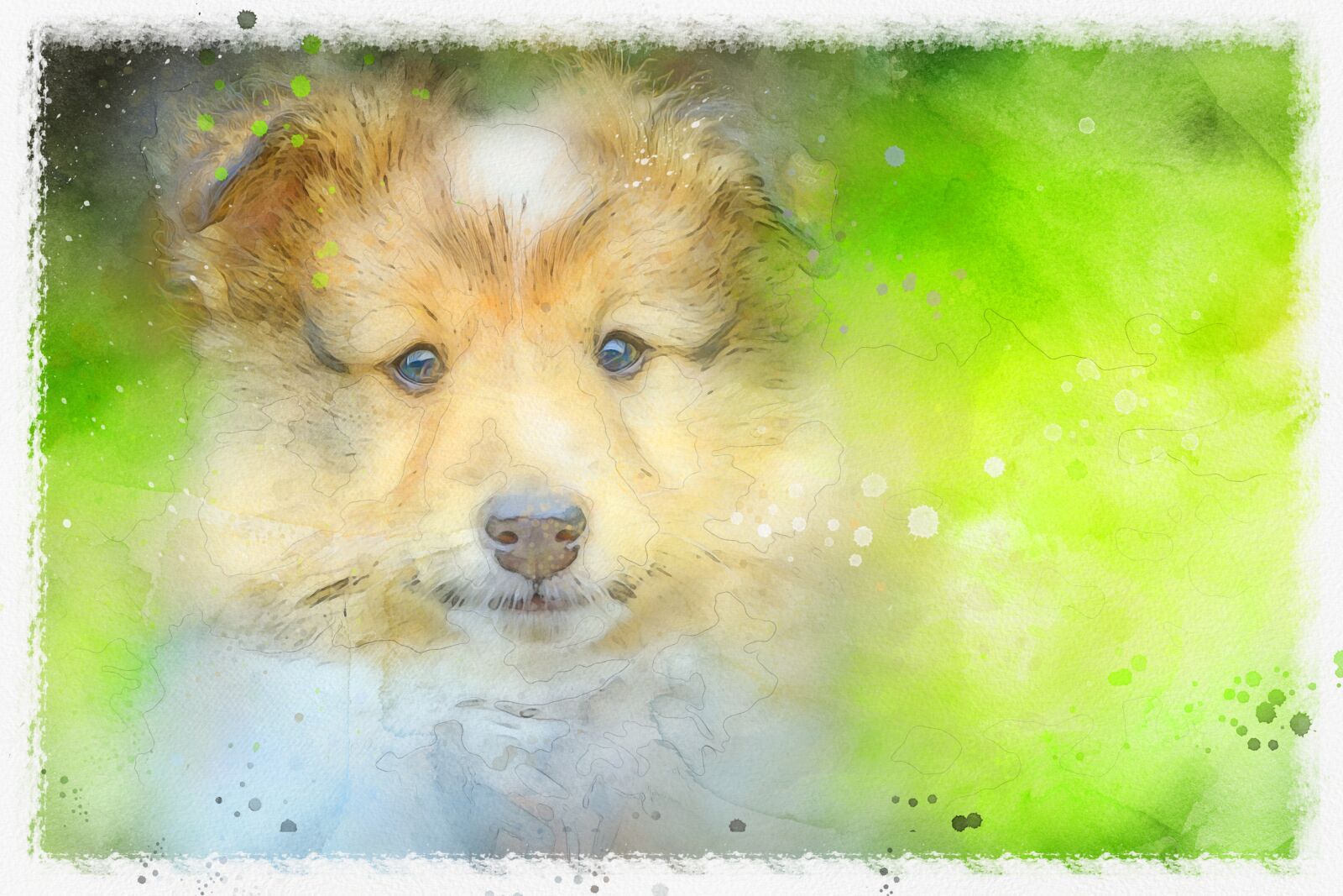 Nikon D5200 sample photo. Dog, puppy, pup photography