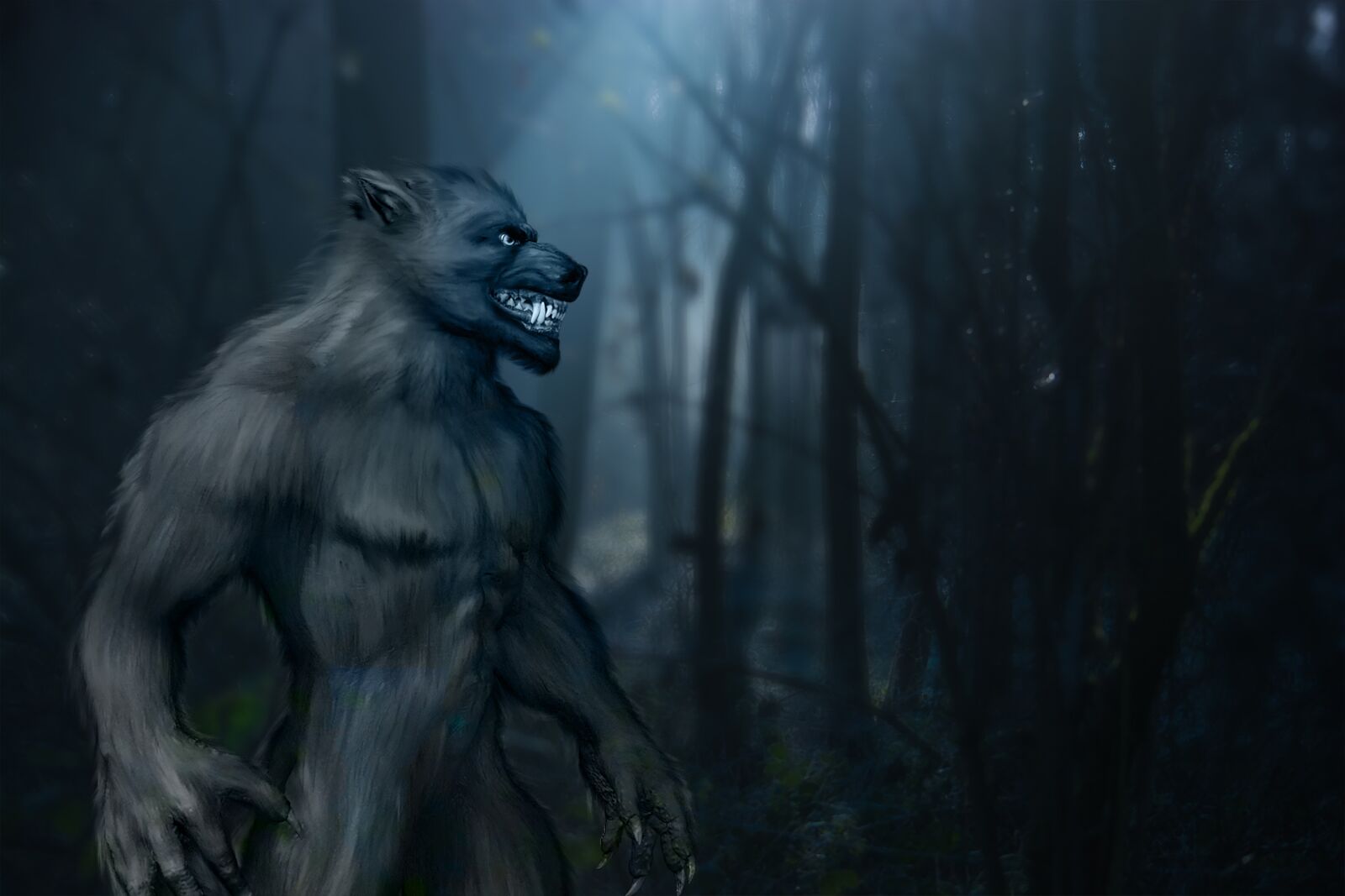 Nikon D5200 sample photo. Werewolf, halloween, forest photography