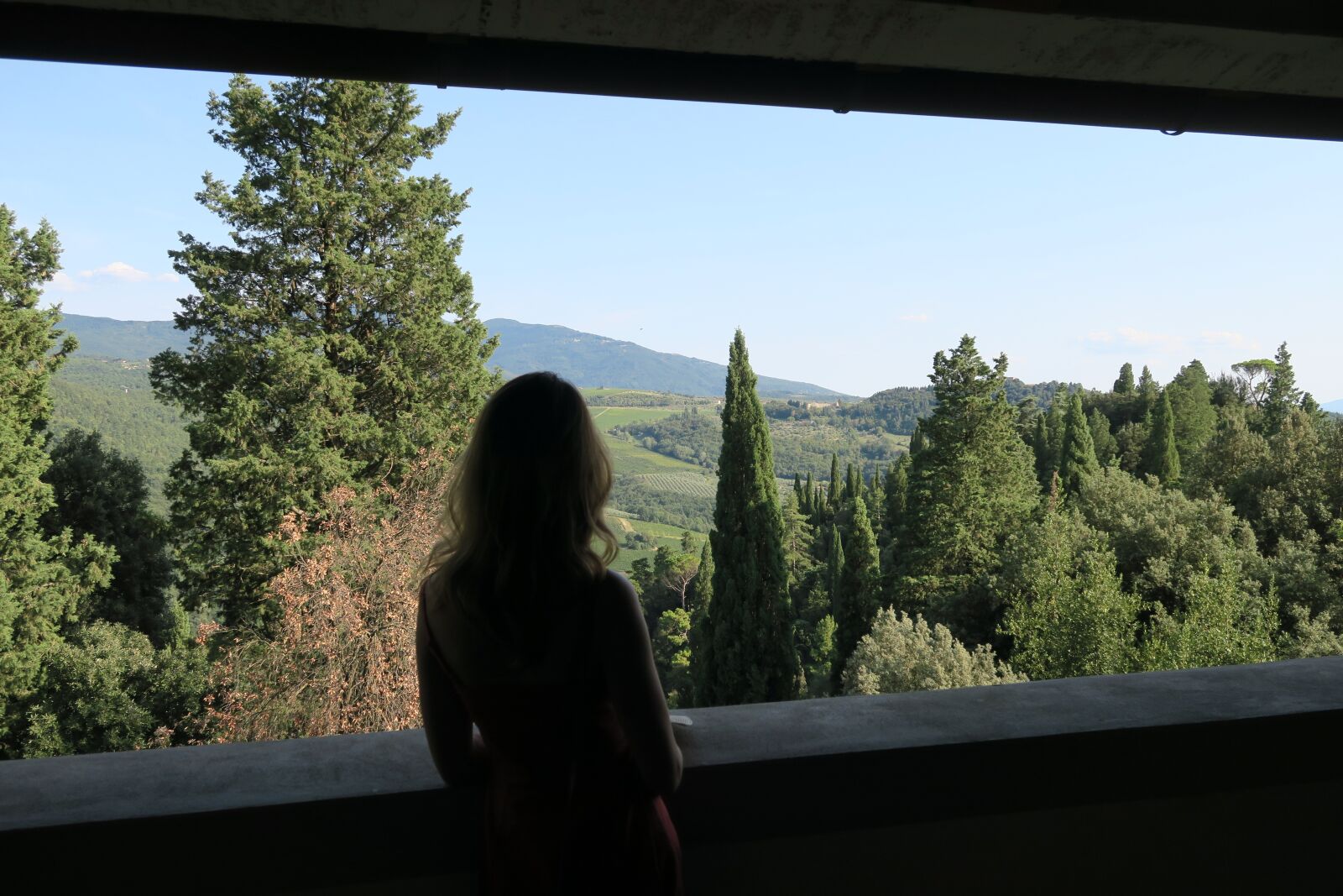 Canon PowerShot G7 X sample photo. Wine, tuscany, vineyard photography