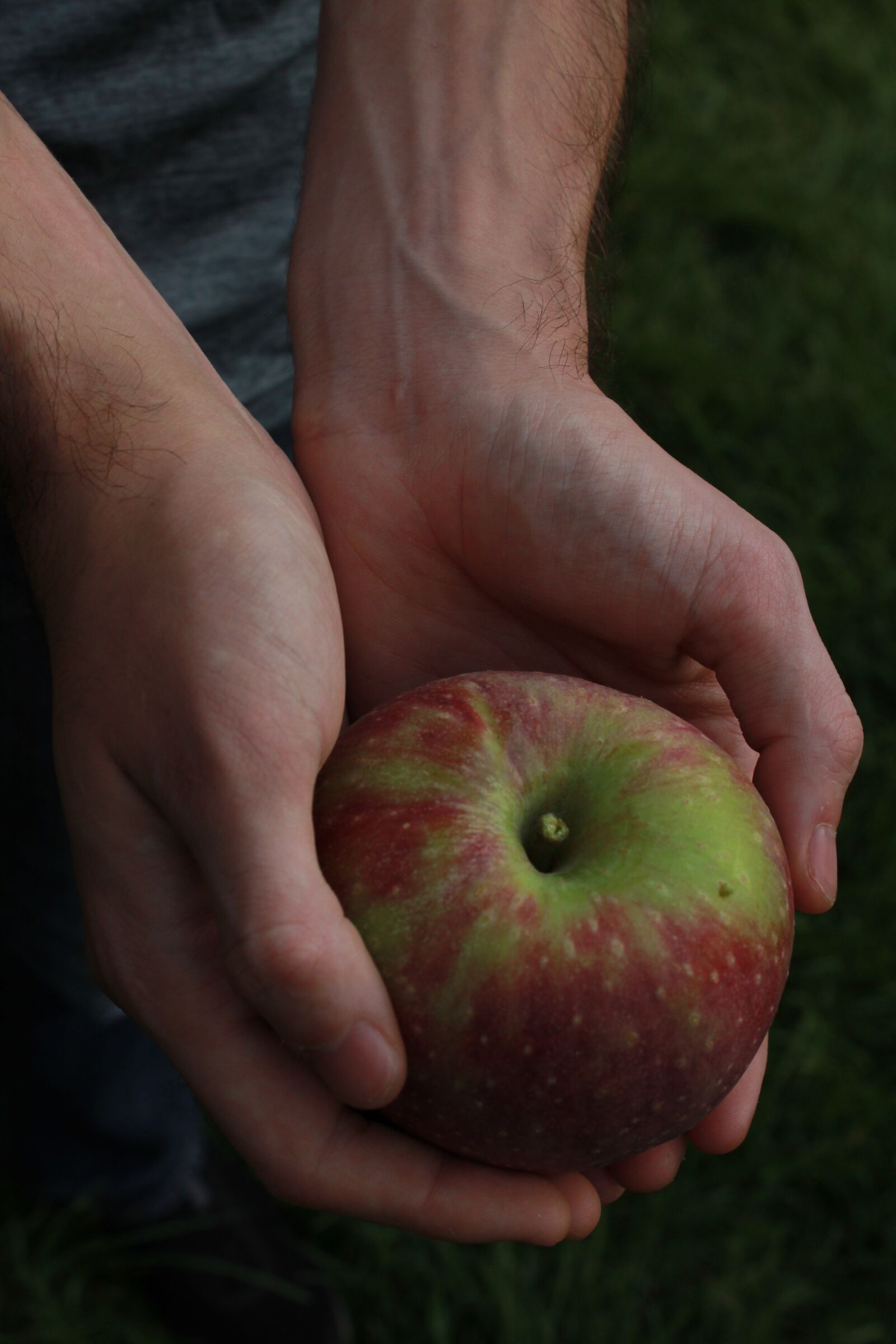 Canon EOS 1300D (EOS Rebel T6 / EOS Kiss X80) sample photo. Apple, hands, fruit photography