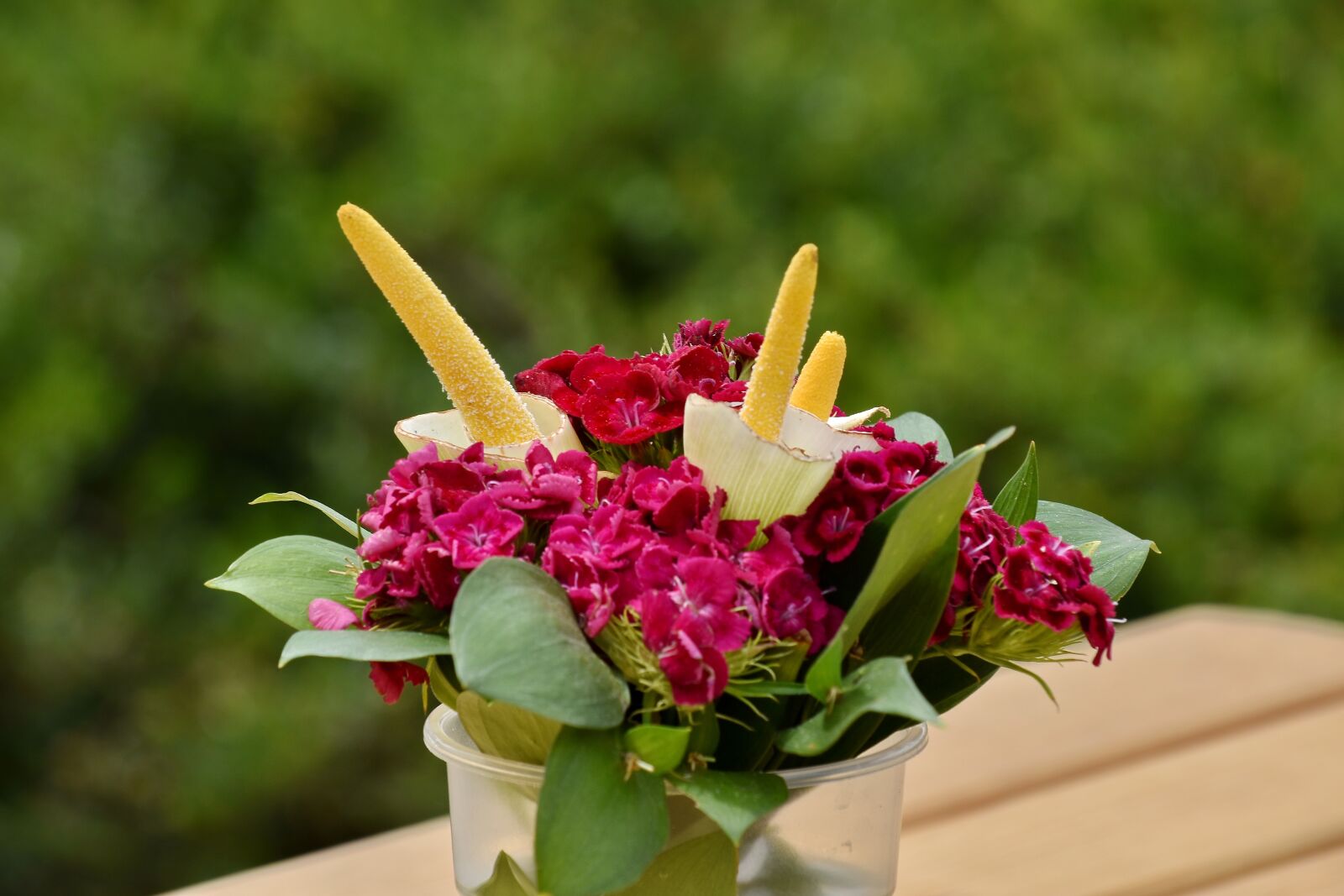 Nikon D5500 sample photo. Carnation, decoration, still life photography