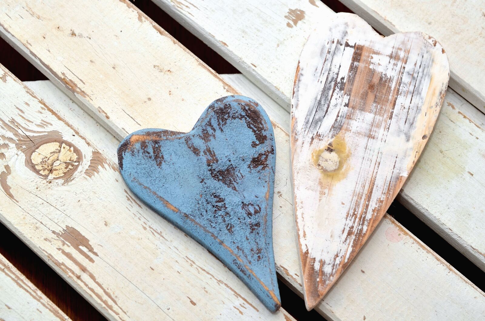Nikon D5100 sample photo. Art, heart, tree, table photography