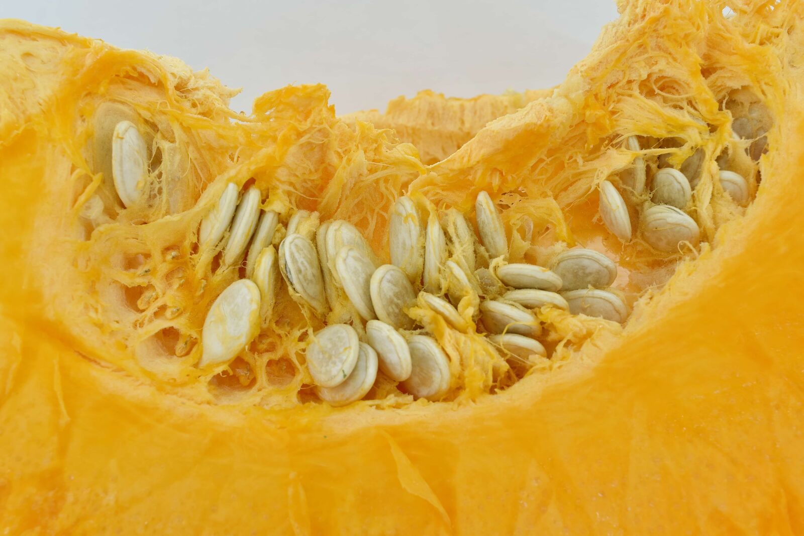 Nikon D5500 sample photo. Close-up, orange yellow, pumpkin photography