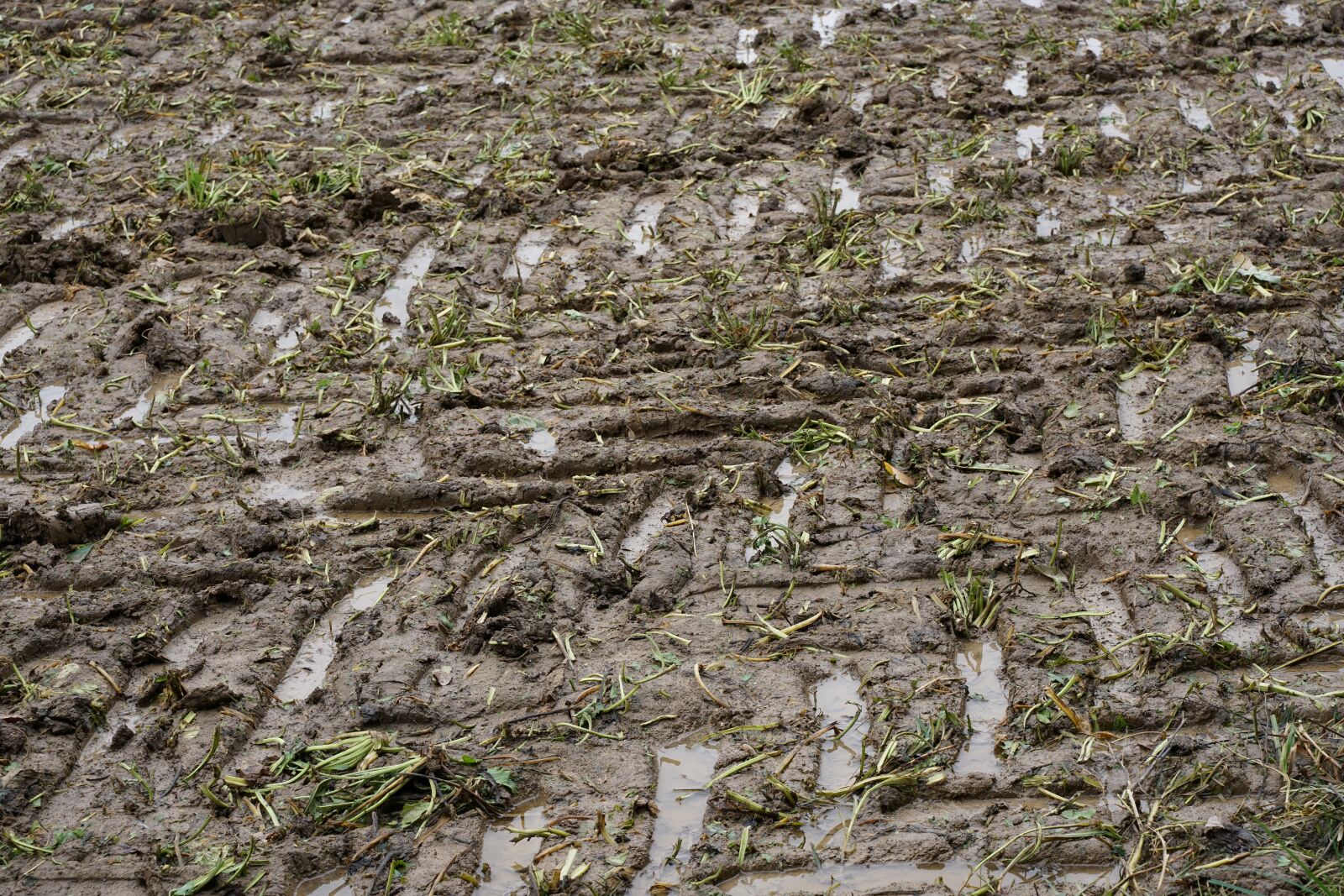 Tamron 28-75mm F2.8 Di III RXD sample photo. Traces, prints, tire tracks photography