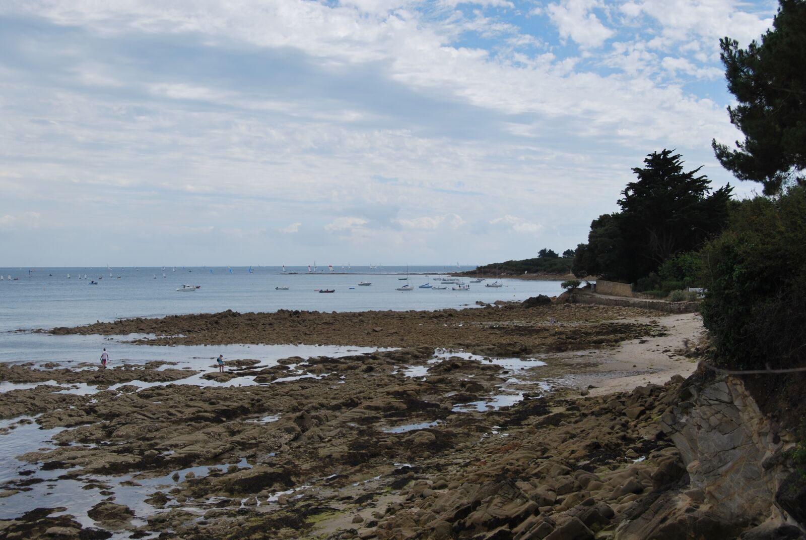 Nikon D60 sample photo. Beach, rocks, side photography