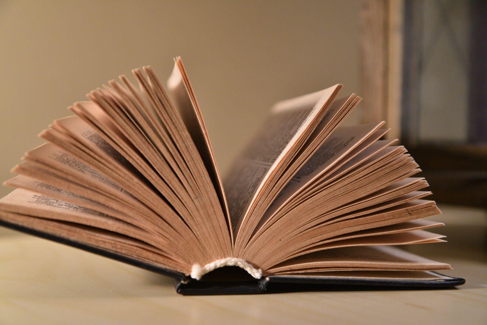 Nikon D750 sample photo. Book, read book, literature photography