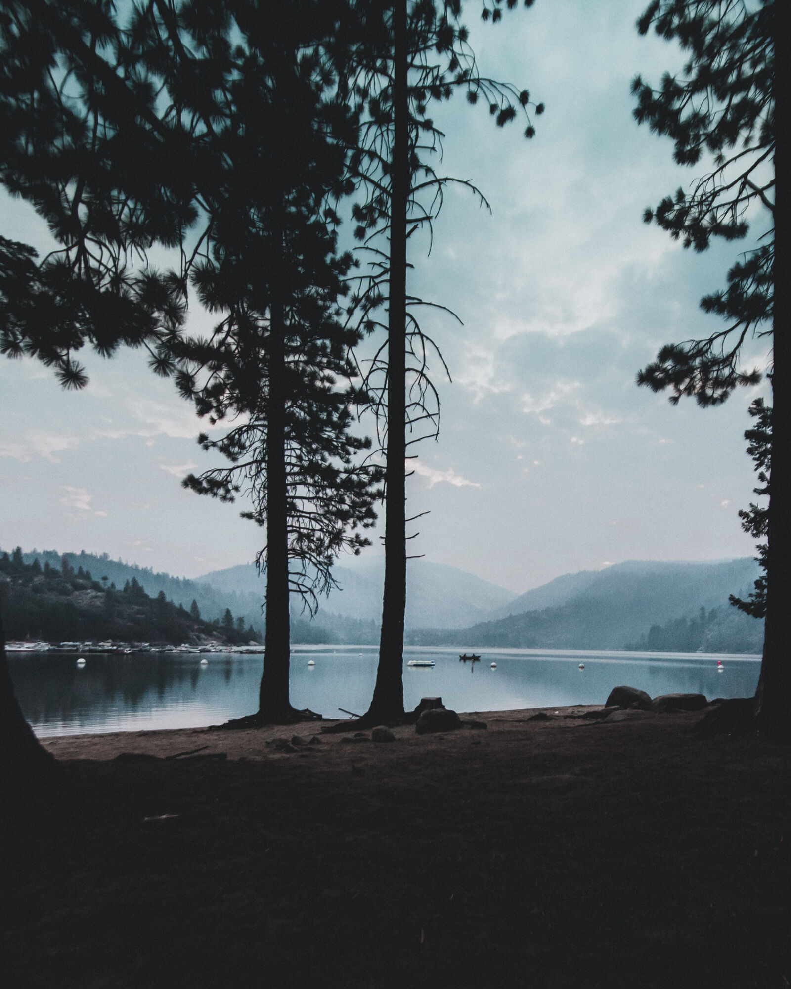 Nikon D610 sample photo. Branches, calm, waters, clouds photography