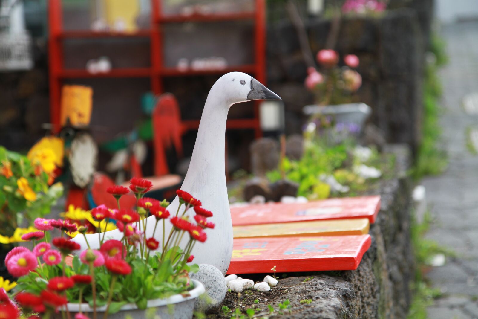 Canon EOS 7D sample photo. Nature, flowers, summer photography