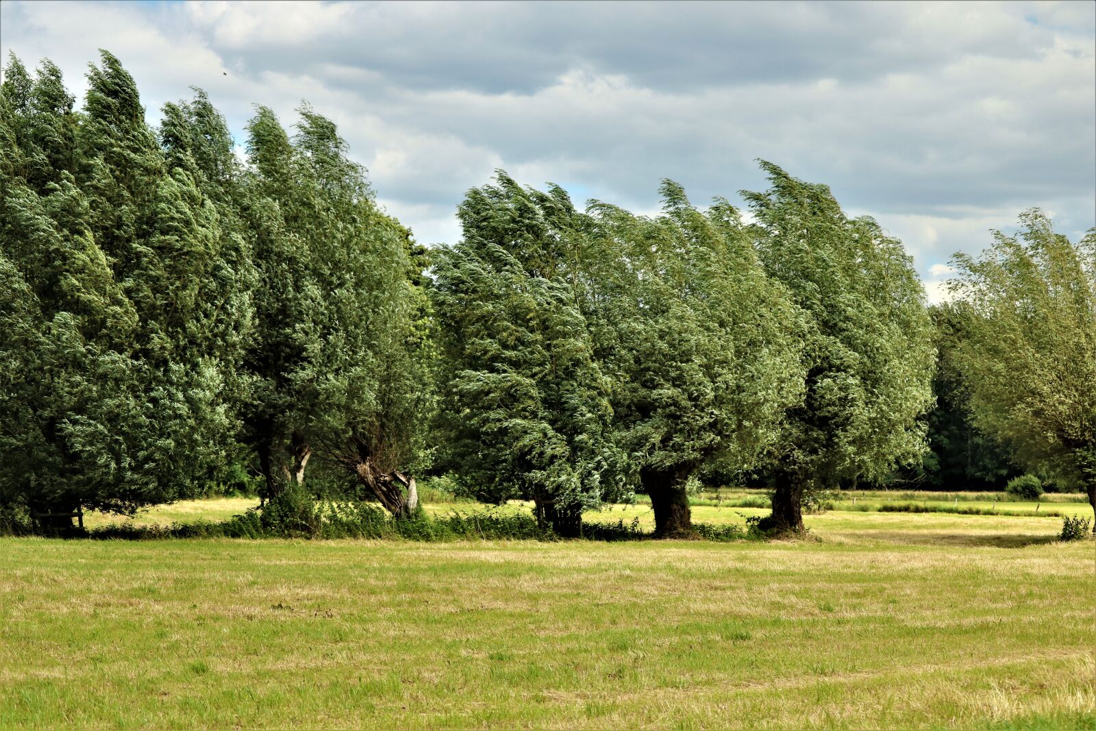 Canon EF-S 55-250mm F4-5.6 IS STM sample photo. Niederrhein, landscape, nature photography