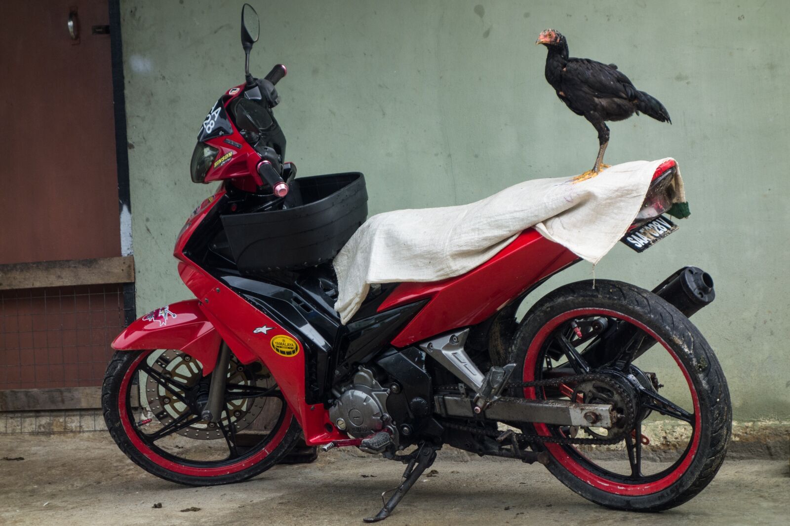 Sony Cyber-shot DSC-RX100 sample photo. Village, chicken, bike photography