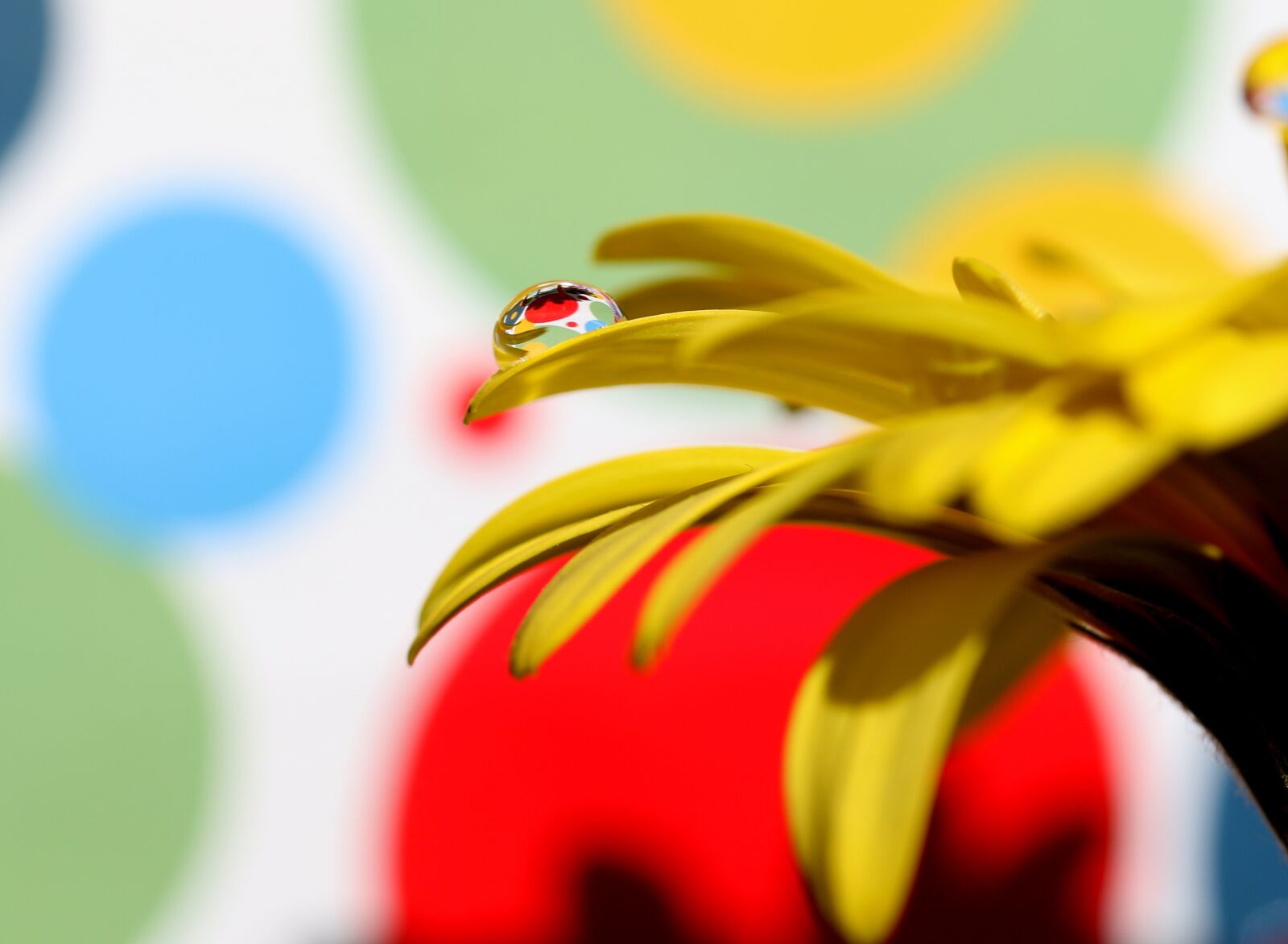 Canon EF-S 60mm F2.8 Macro USM sample photo. Drops, water, macro photography