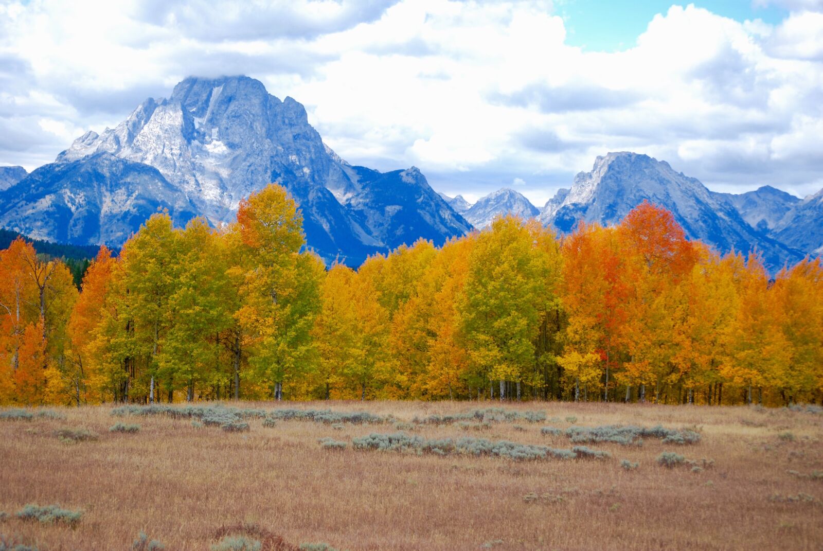 Nikon D60 sample photo. Aspen, storm, mountains photography