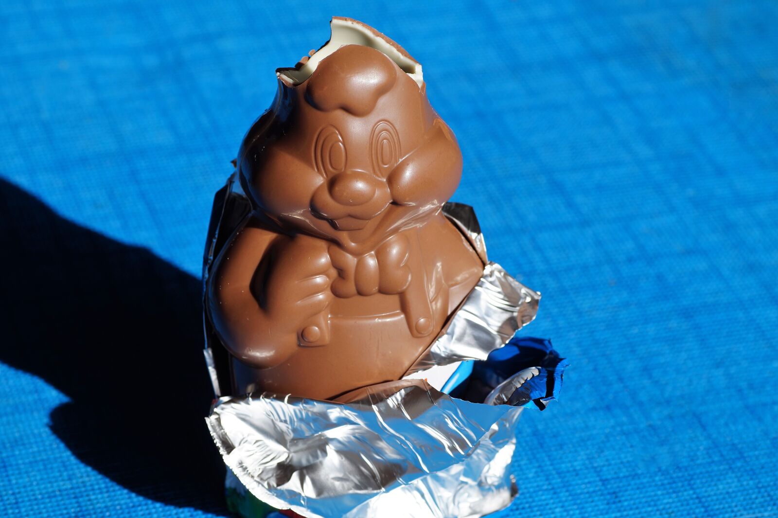 Sony SLT-A58 sample photo. Chocolate, bunny girl, hare photography