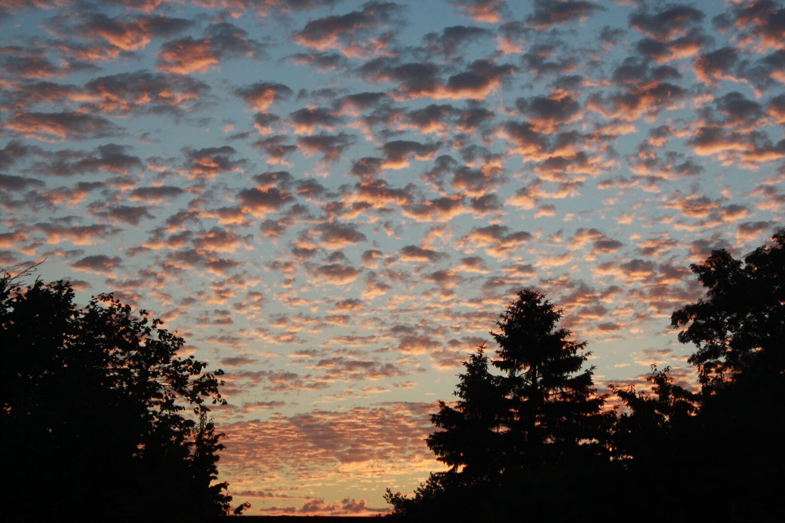 Canon EOS 1000D (EOS Digital Rebel XS / EOS Kiss F) sample photo. Sky, evening, clouds photography