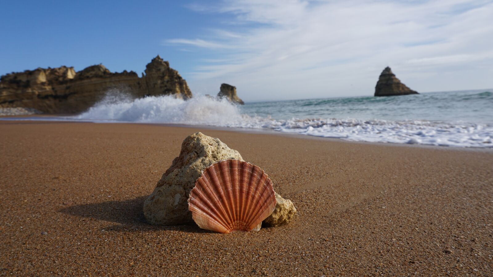 Sony a6000 sample photo. Portugal, seaside, shell photography