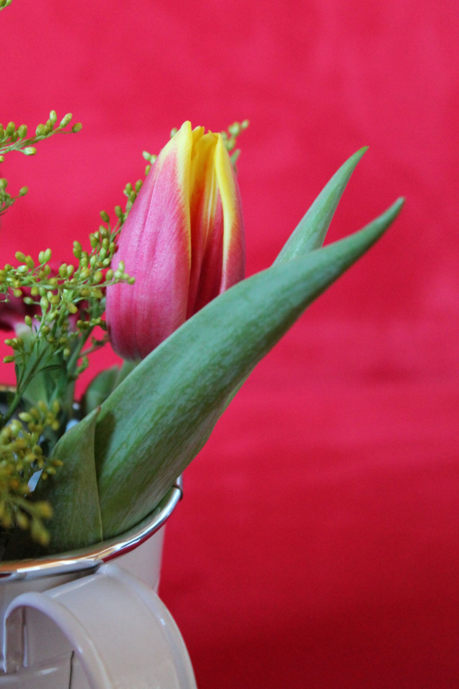 Canon EOS 1100D (EOS Rebel T3 / EOS Kiss X50) sample photo. Tulip, flower vase, flower photography
